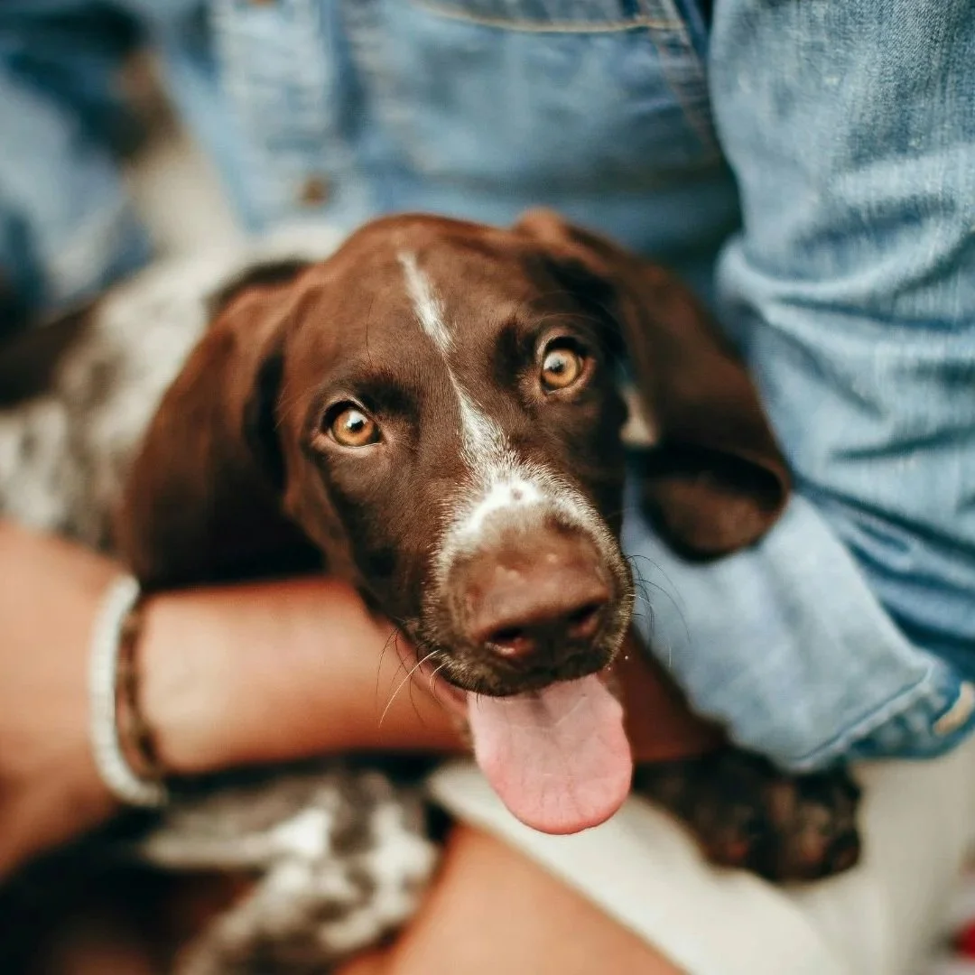 It's not just bad breath: What's really going on under their gumline