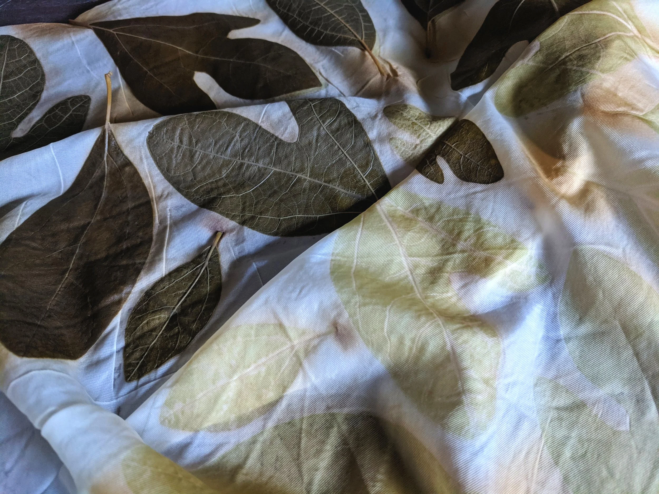 IMG_20190626_065726.jpg