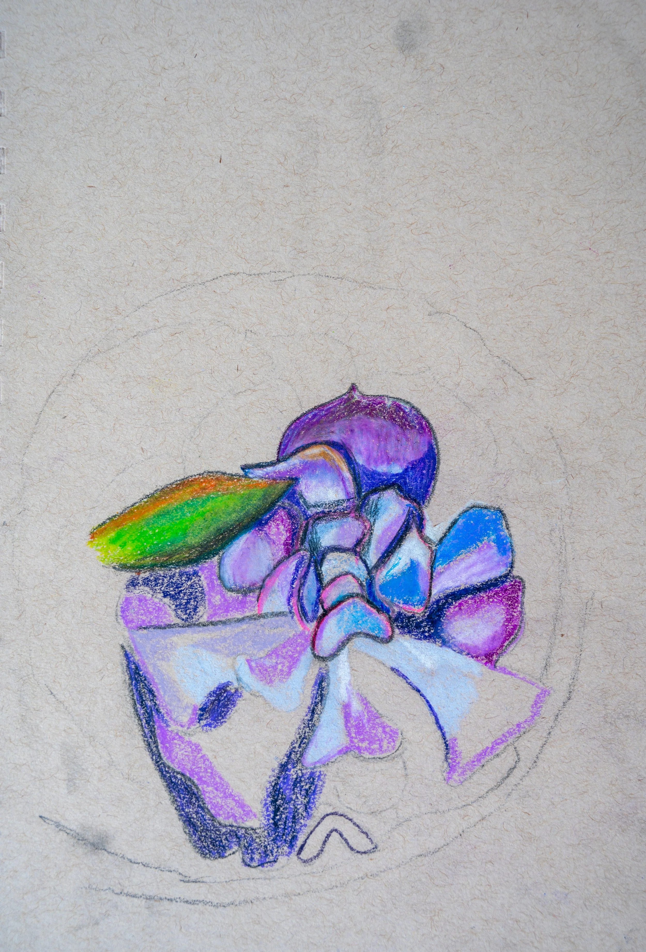Sketch-48DSC_5350.JPG