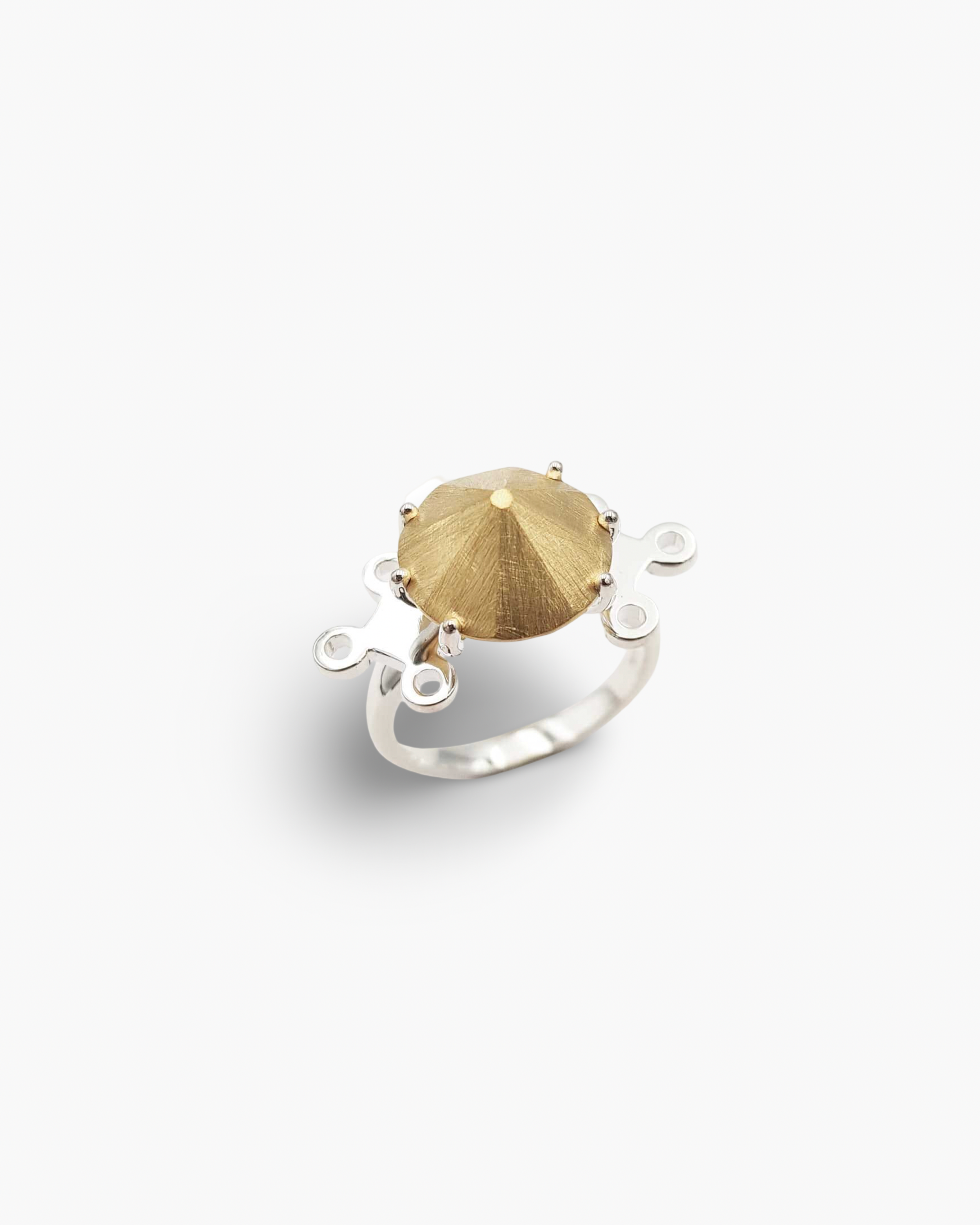Aramudi_Mountain Ring.PNG
