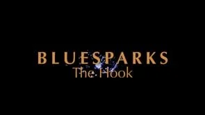 BLUESPARKS The Hook