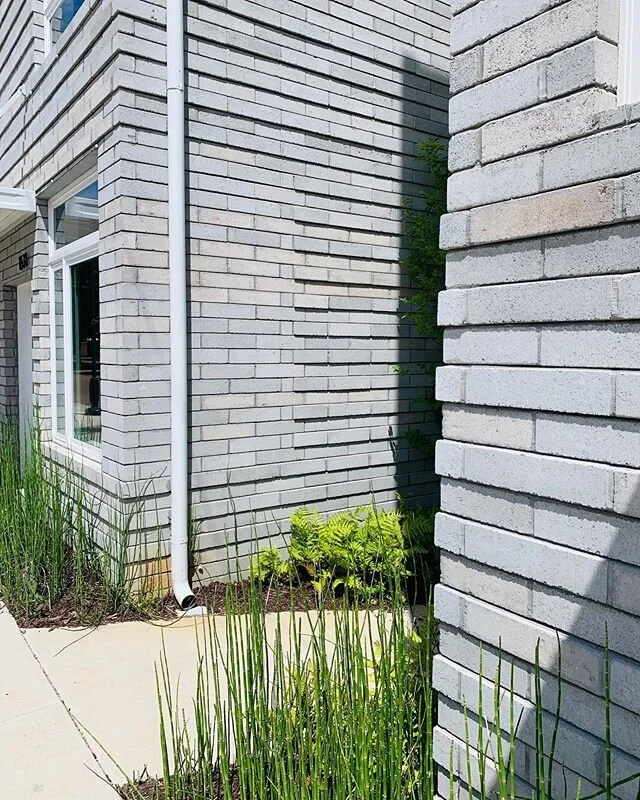 Beautiful day last Friday at #layoutsonmarket for a photography walkthrough.  Looking forward to some great photos coming soon!