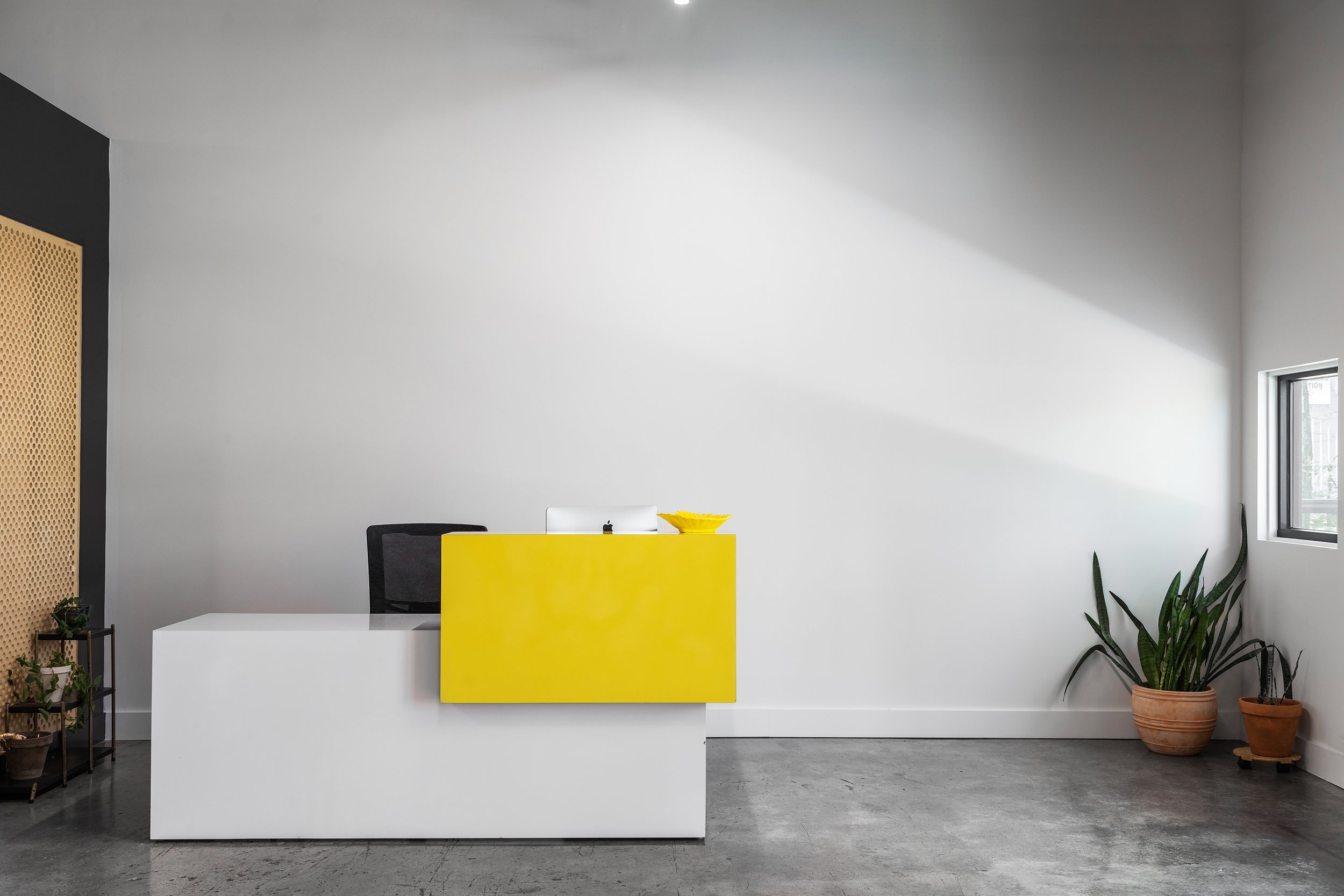 ColorTest_Front Desk 1_Ally Architecture_by 161 Photography.jpg