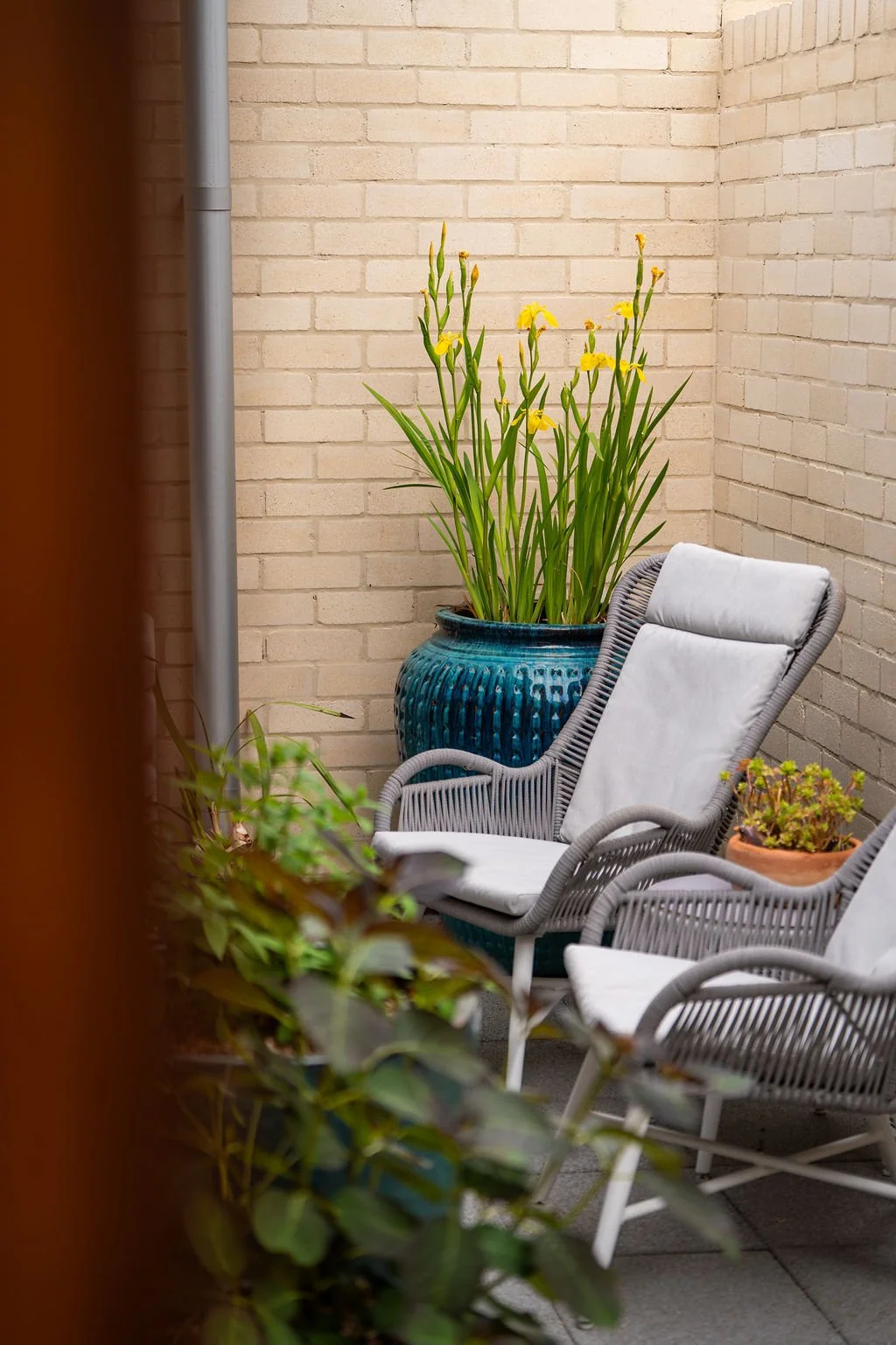 115 Stellulata Nov 25 Courtyard Unit A.jpg