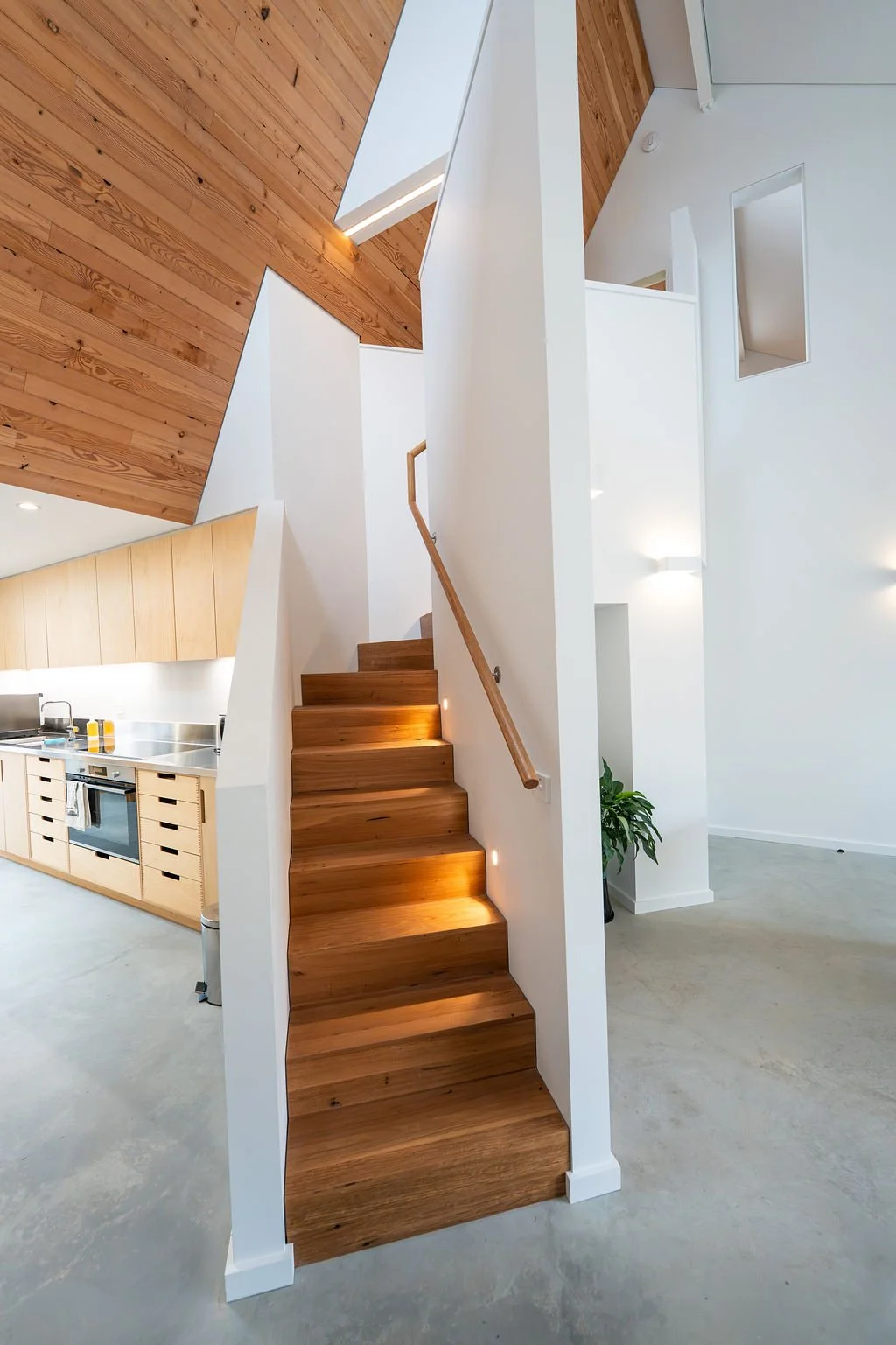 27 Stellulata Nov 25 Staircase.jpg