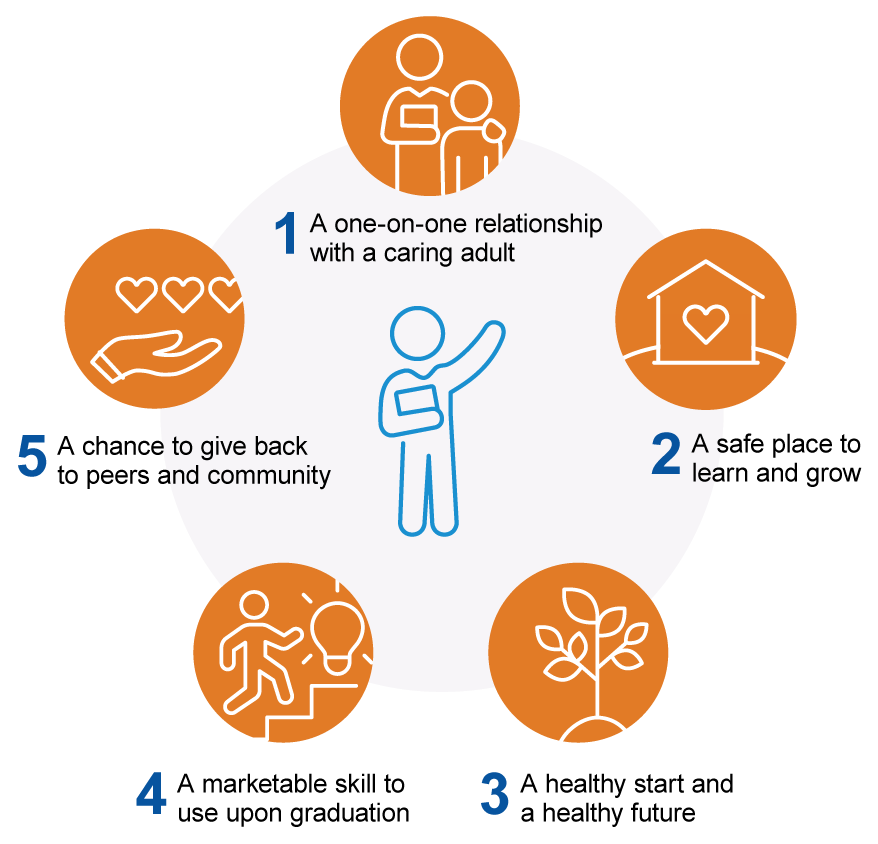 Graphic description of  the 5 principles in action listed in the text