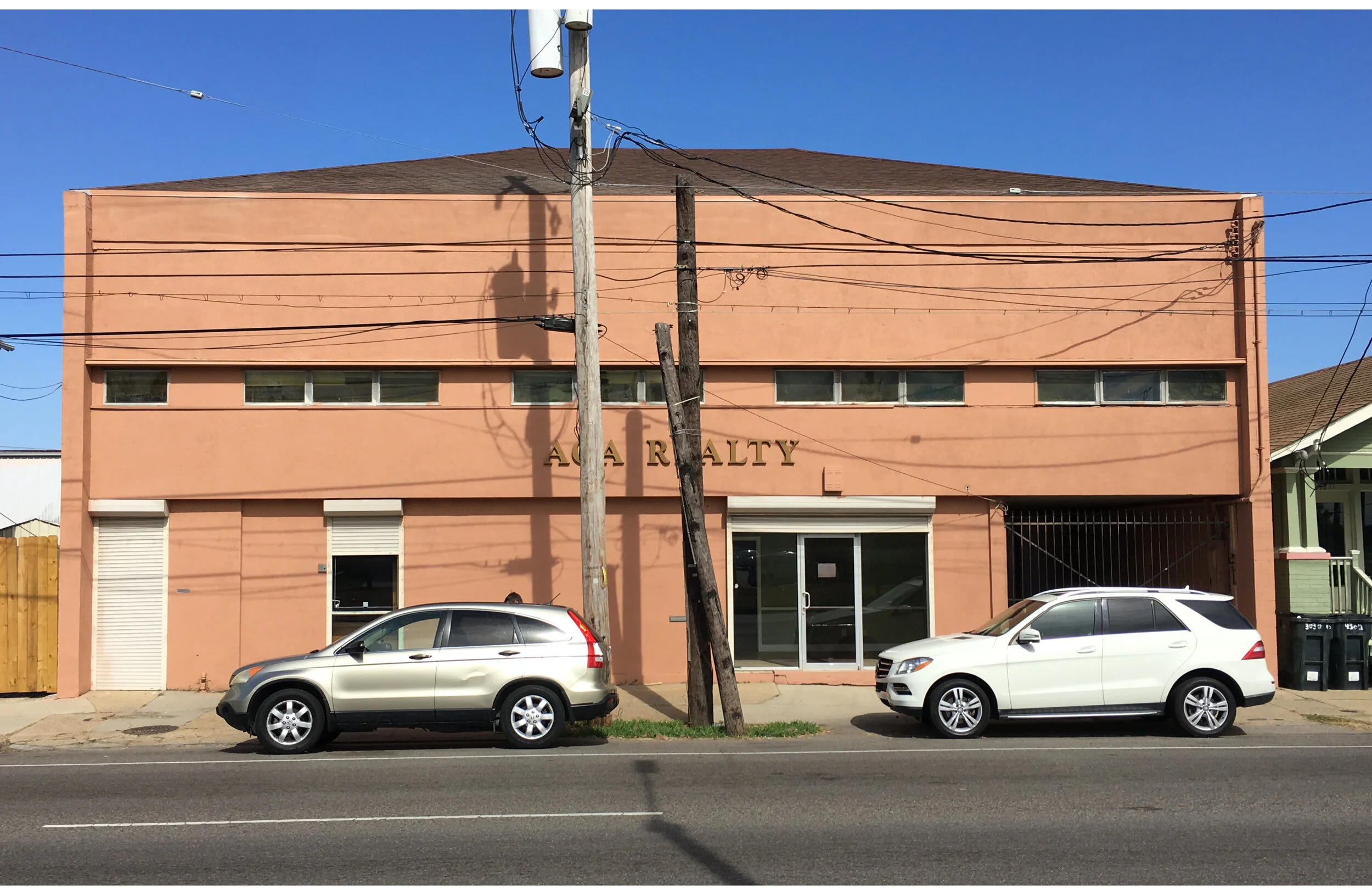 Integrated Pain Neuroscience Goat