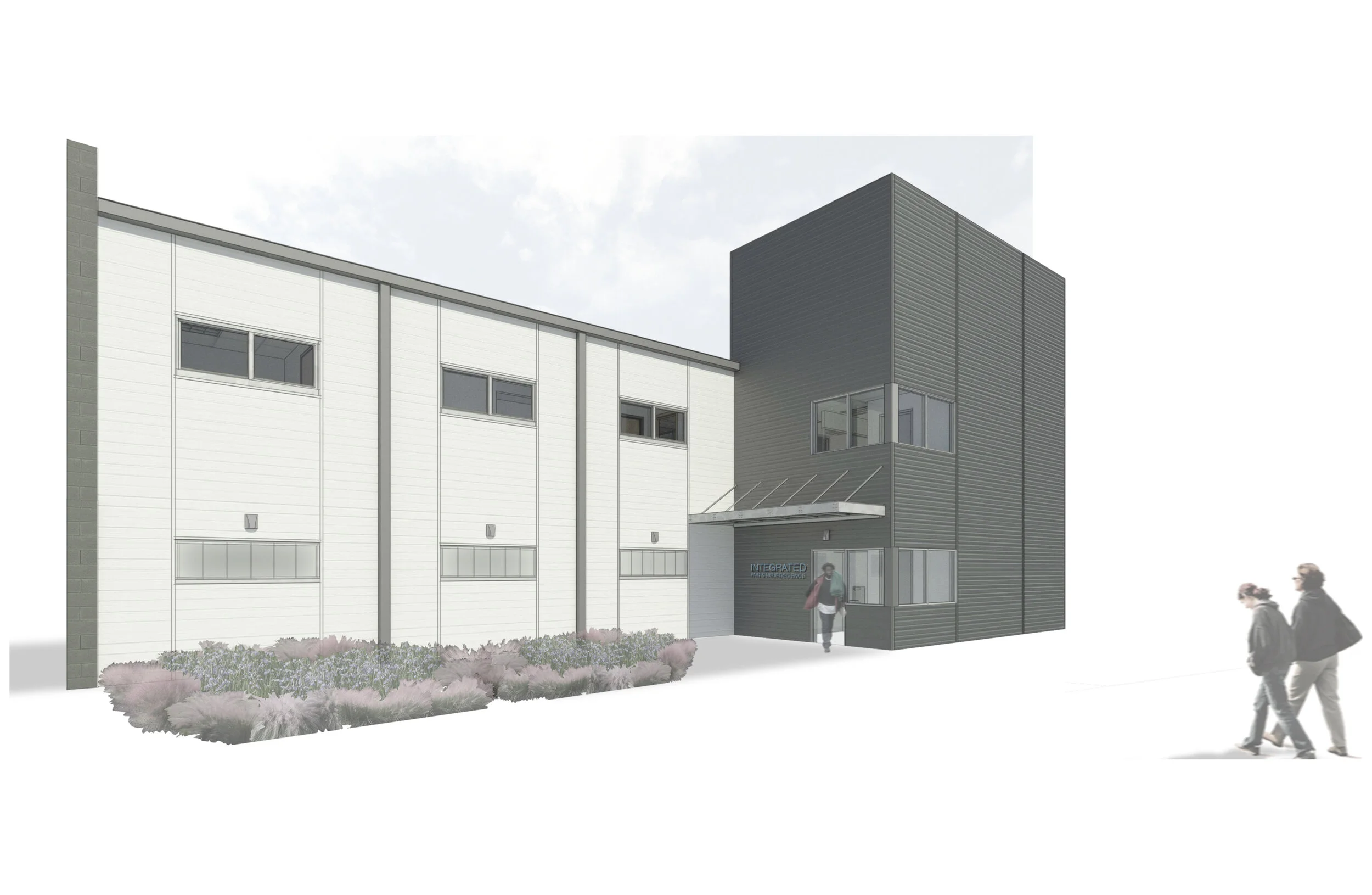 Integrated Pain Neuroscience Goat