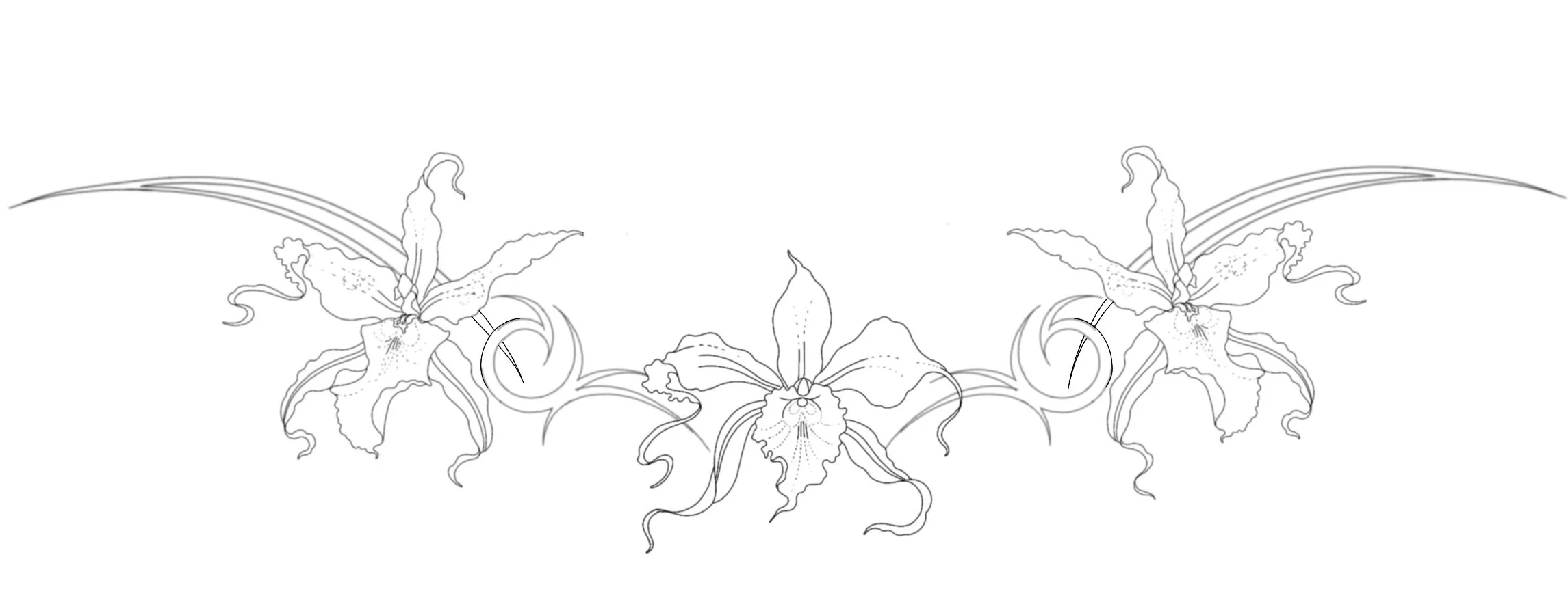 Untitled_Artwork.jpeg