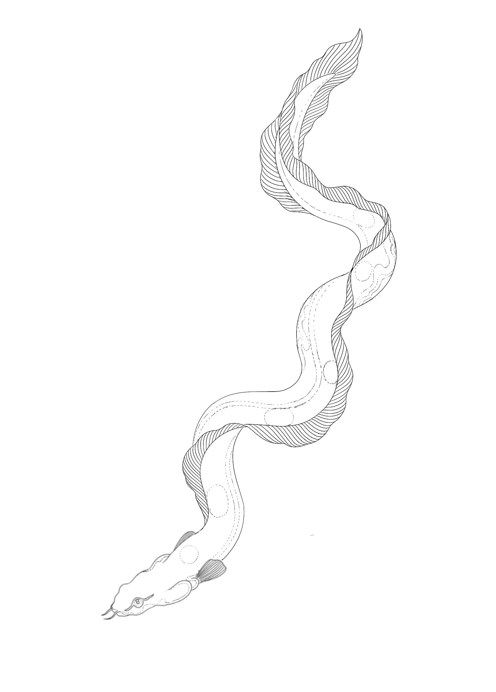 Untitled_Artwork.jpeg