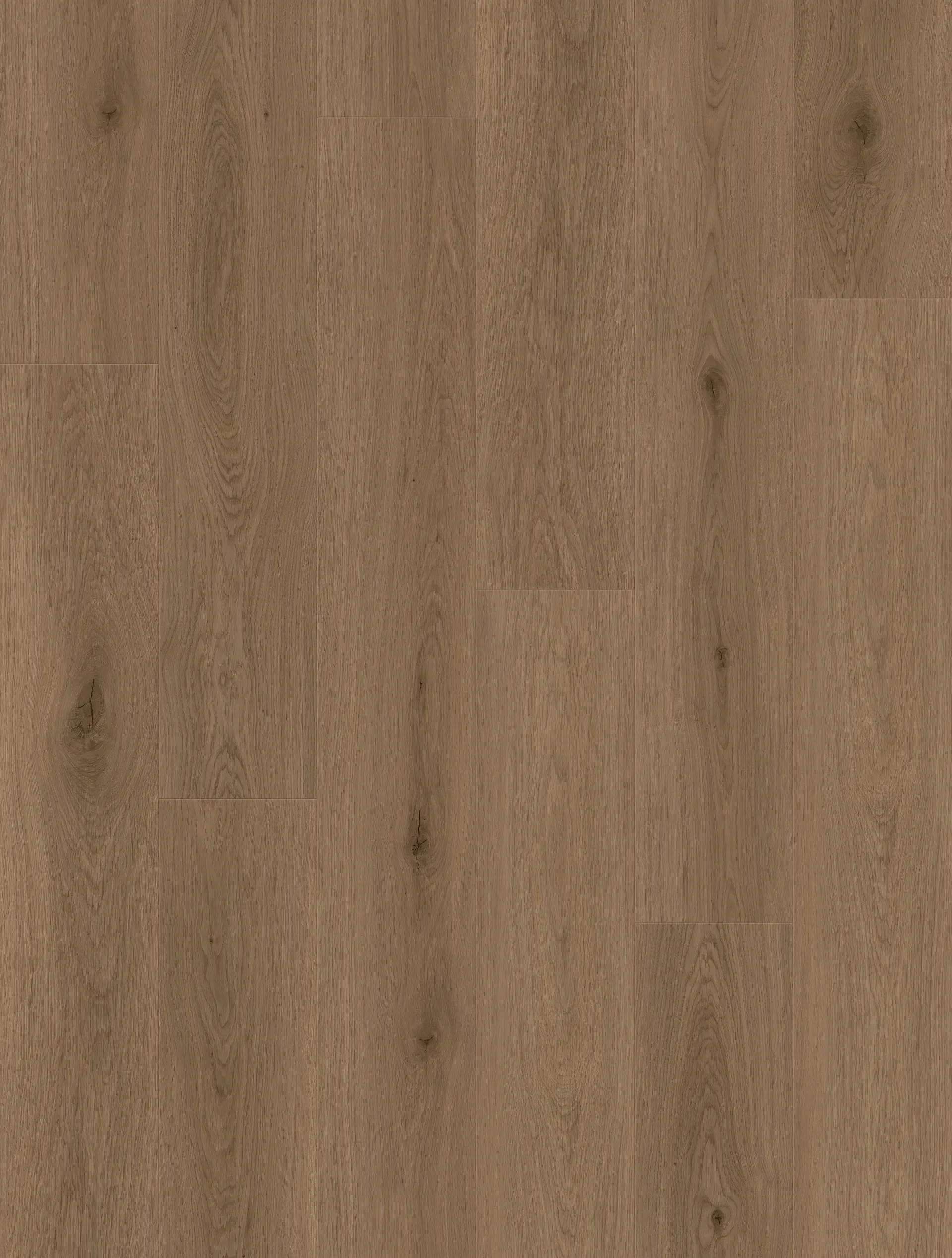 p1-d91fb93d4455.webp