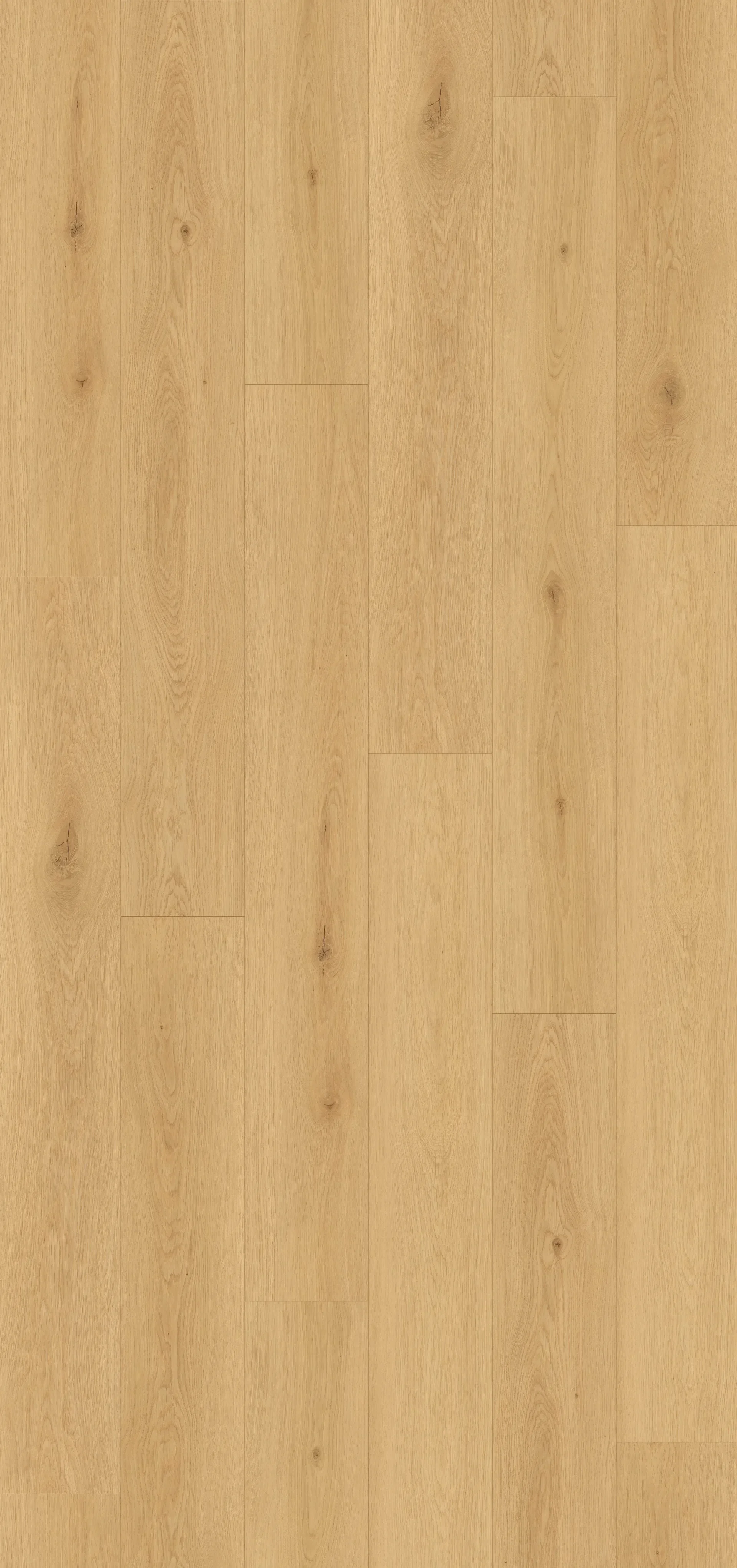 p1-d097ca20db48.webp