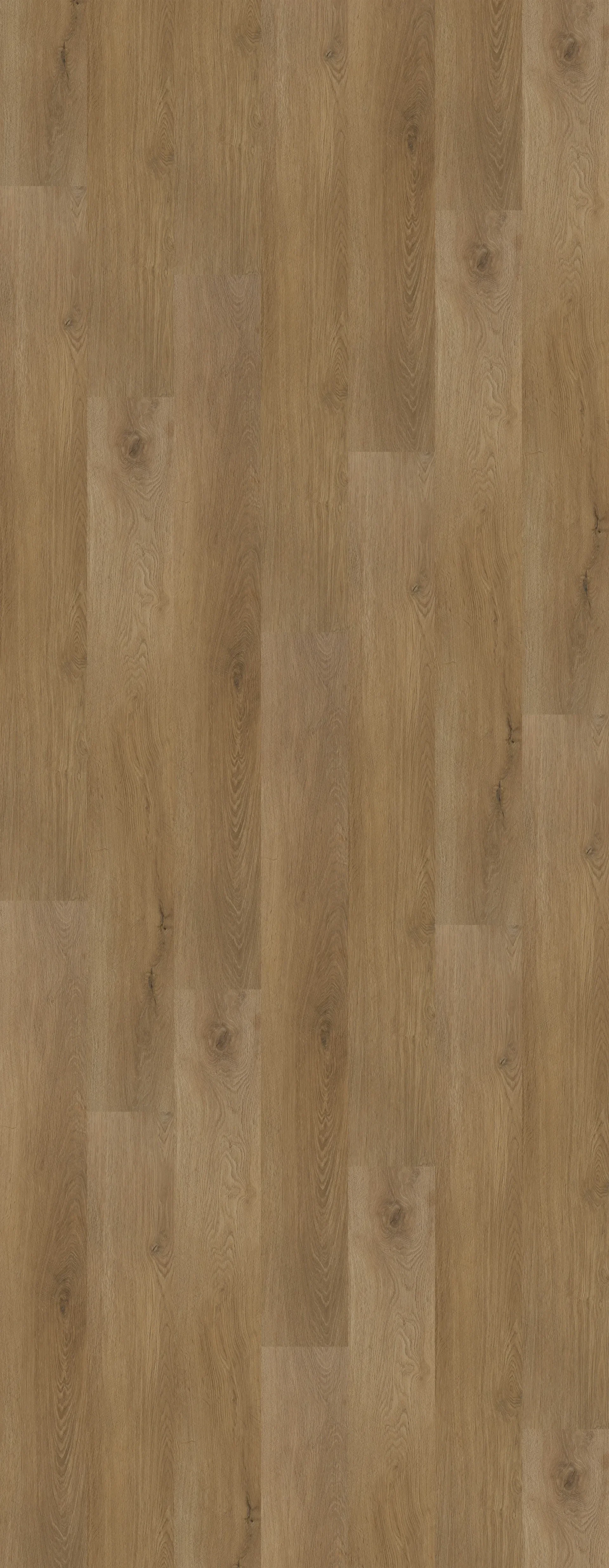 p1-42c1f378b300.webp