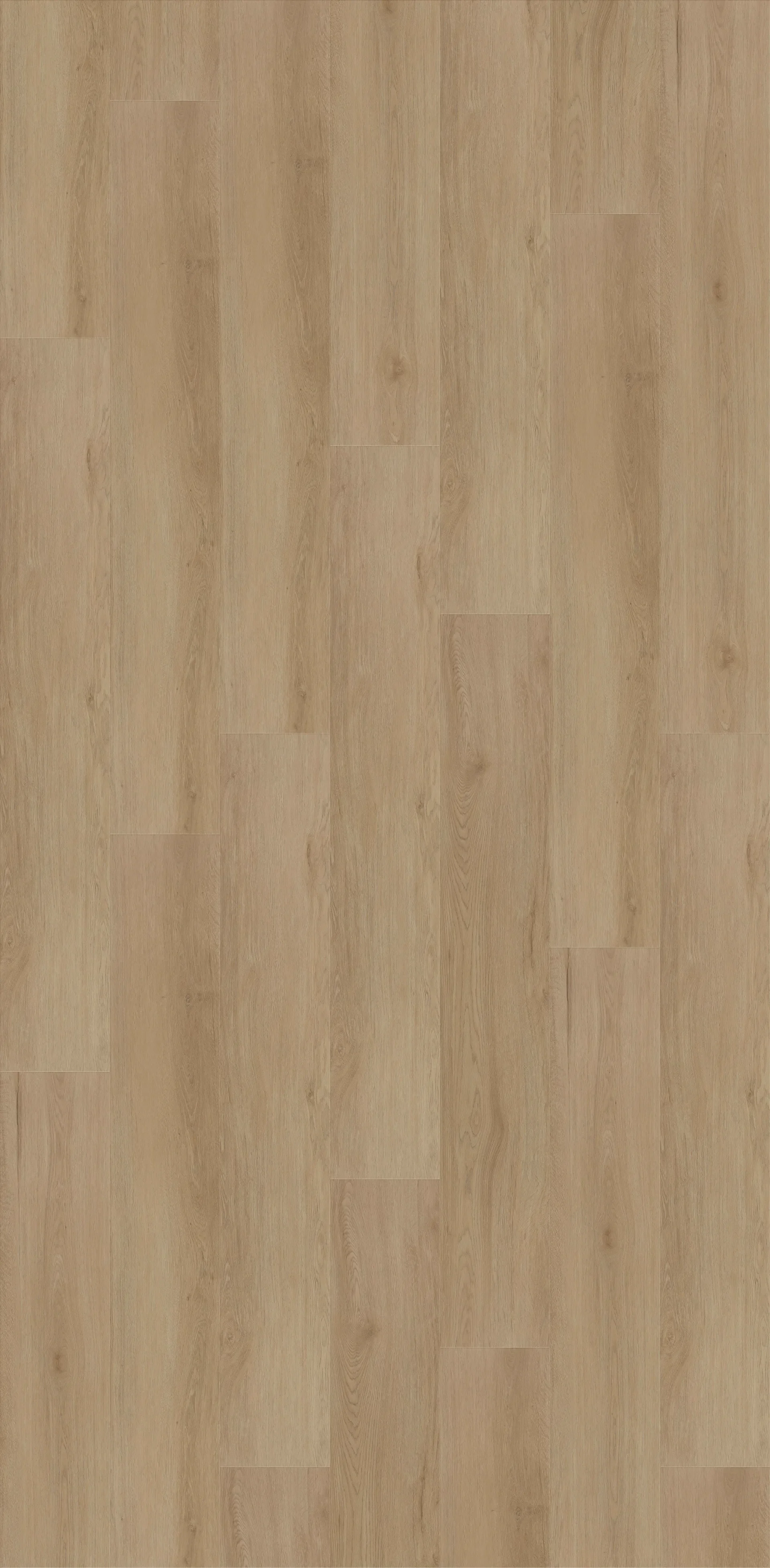 p1-b3935503be1a.webp