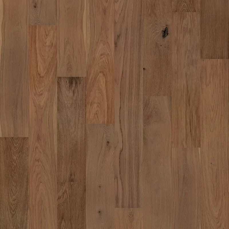 p1-79cf81276332.webp