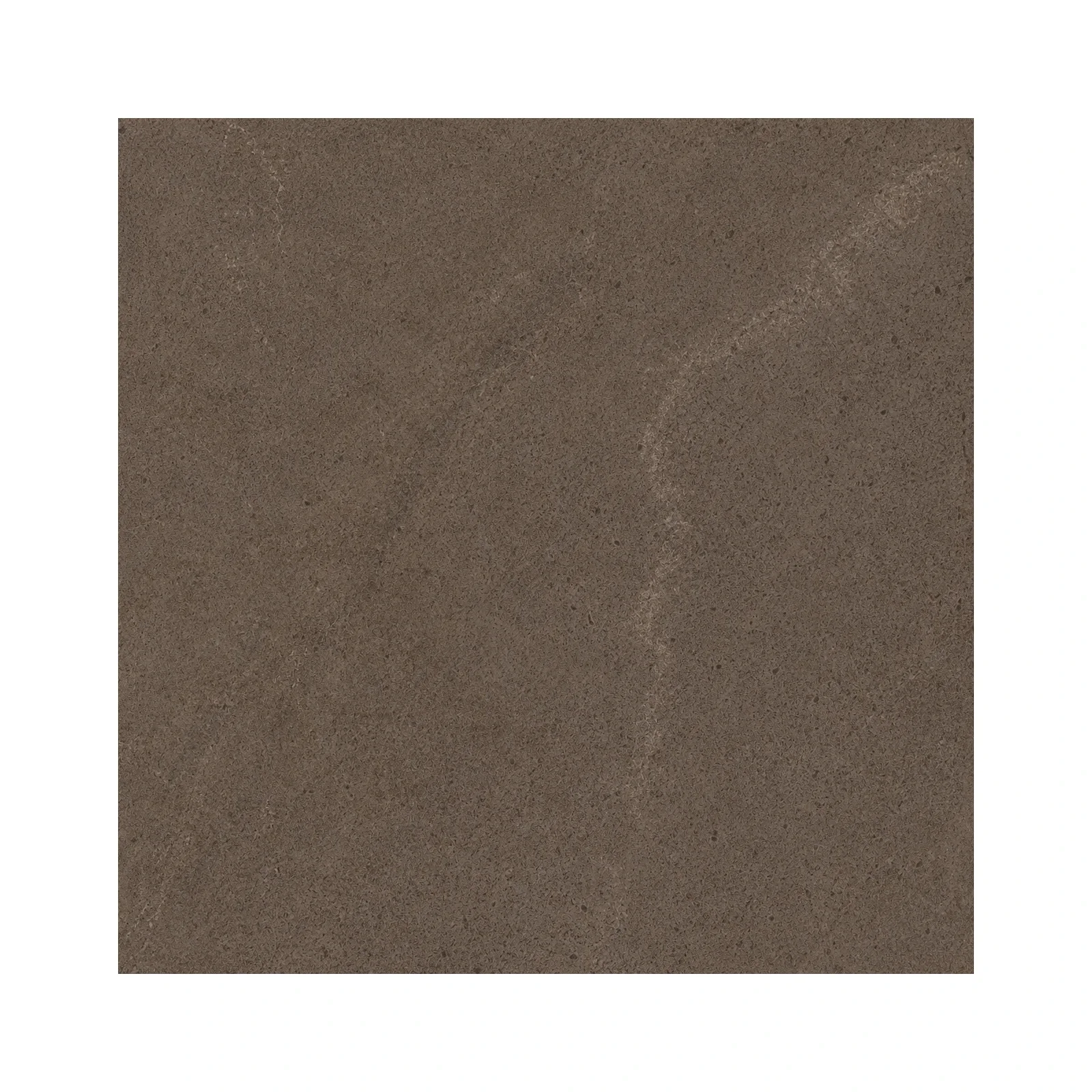 aurevia-cocoa-stone-12-x-24-matte-04-surface-detail.webp