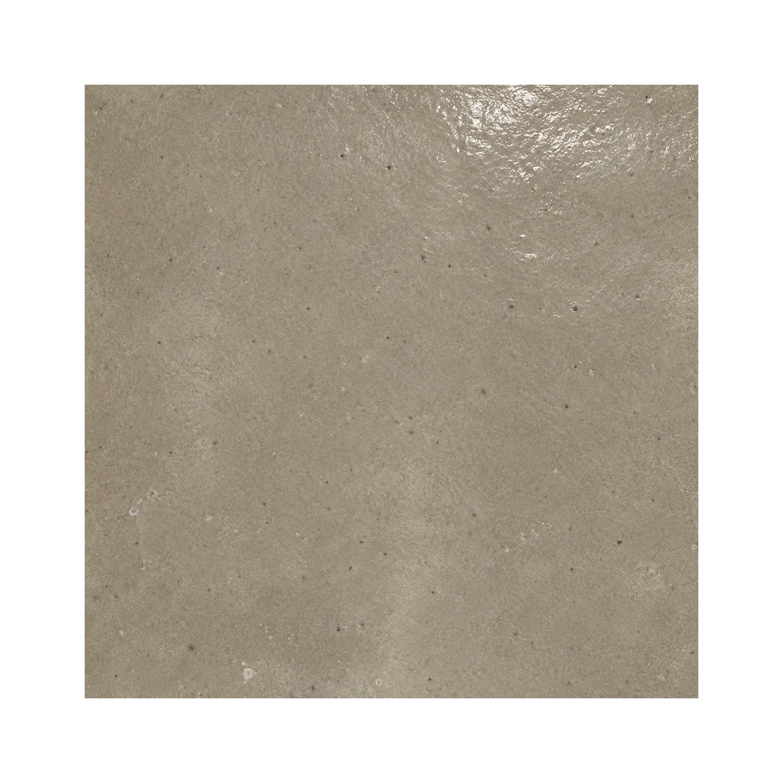 zelora-regular-desert-petal-4-x-4-glossy-04-surface-detail.webp