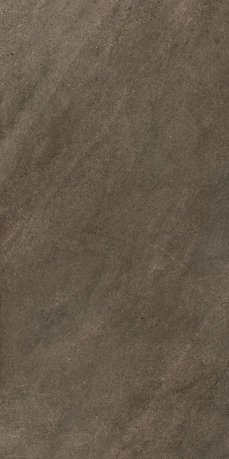 aurevia-cocoa-stone-24-x-48-matte-original-01.webp