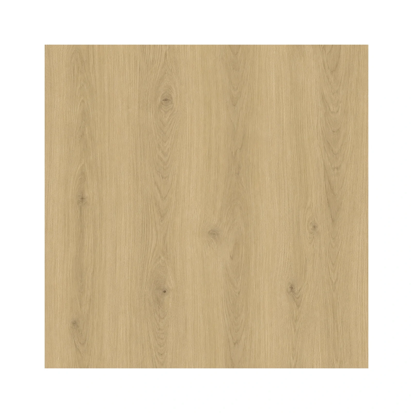 evermere-champagne-ash-12-mm-thick-9-3-59-6-in-plank-04-surface-detail.webp