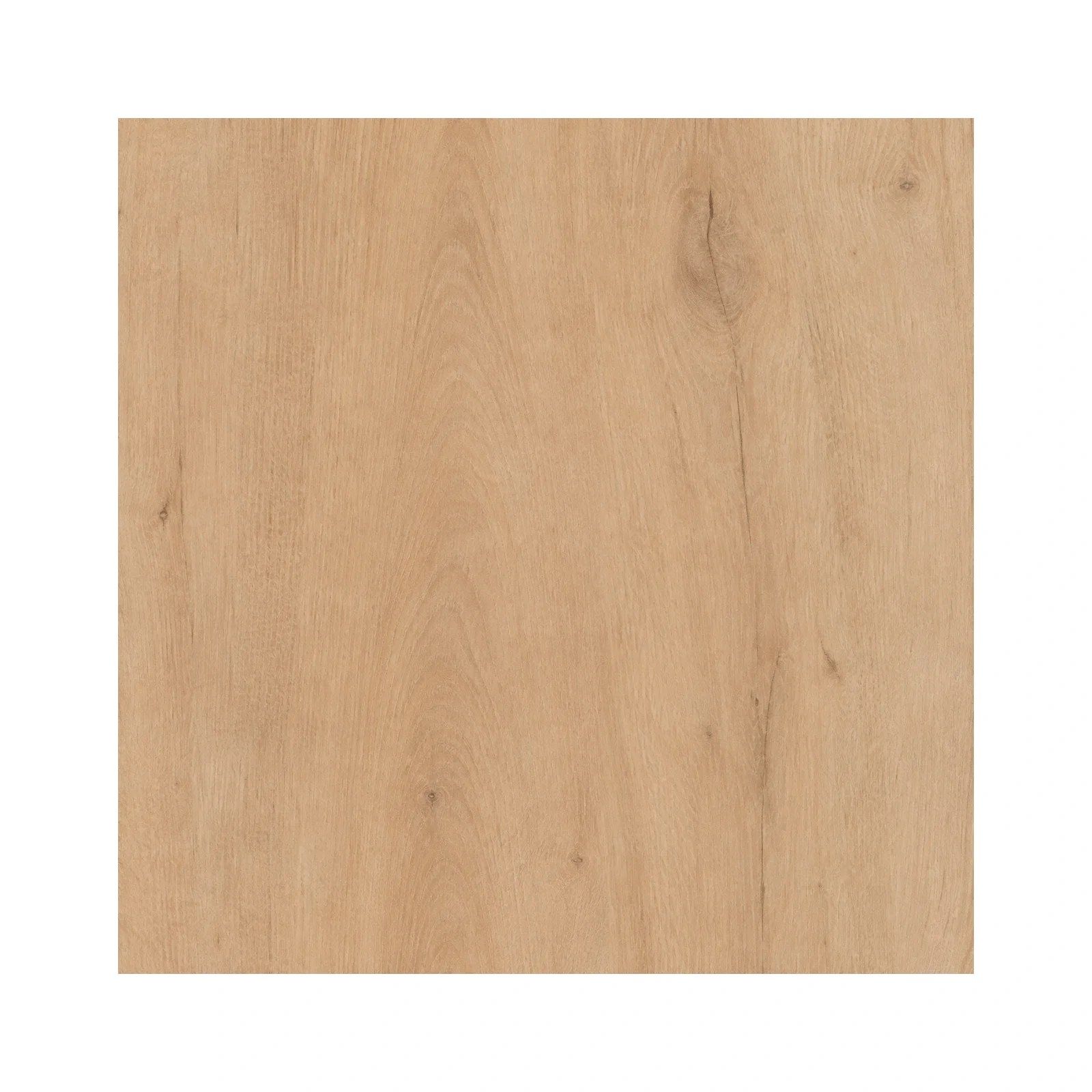 valmera-desert-reach-12-mm-total-10-mm-2-mm-attached-pad-9-in-72-in-nominal-04-surface-detail.webp