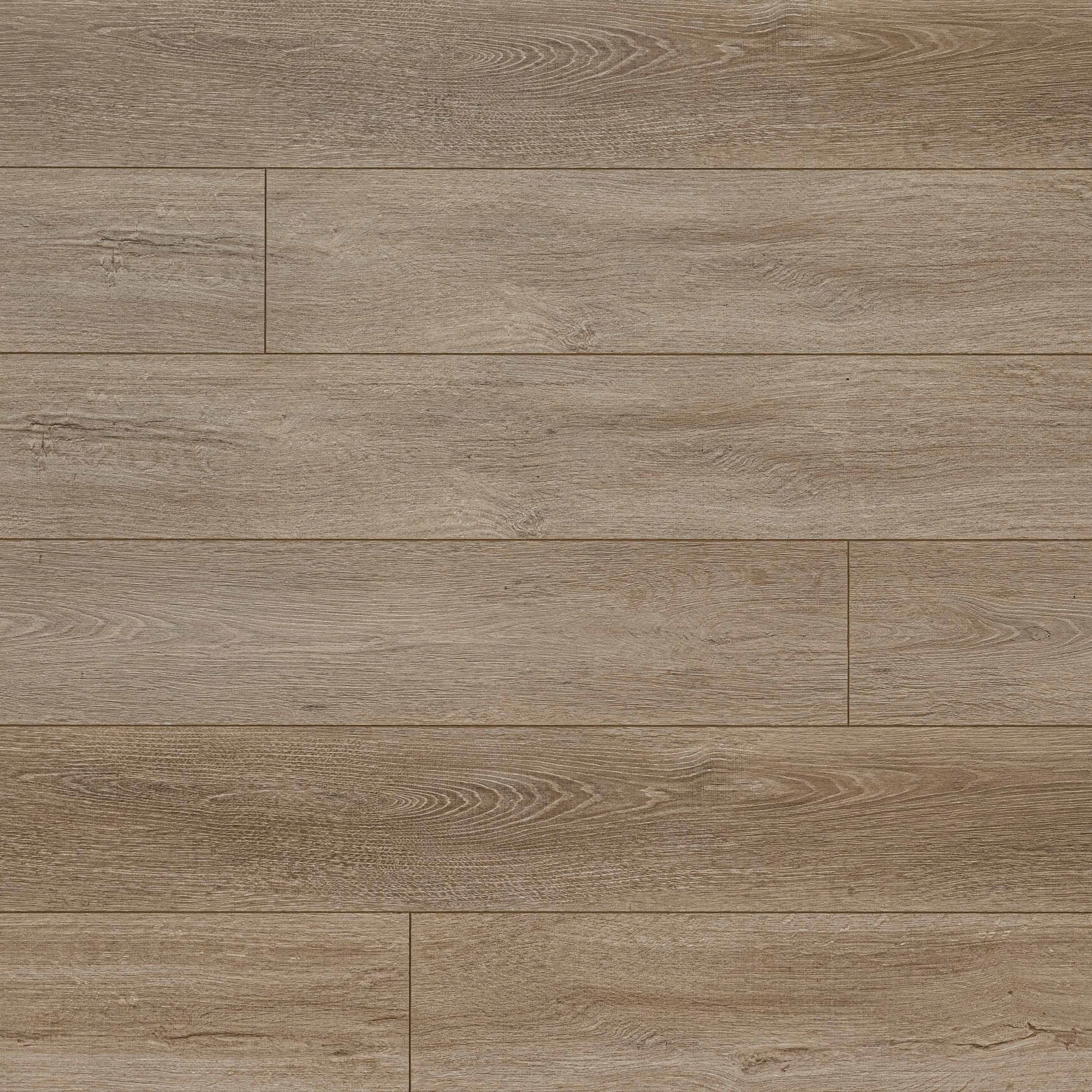 ardenvale-brockton-birch-01-swatch.jpg