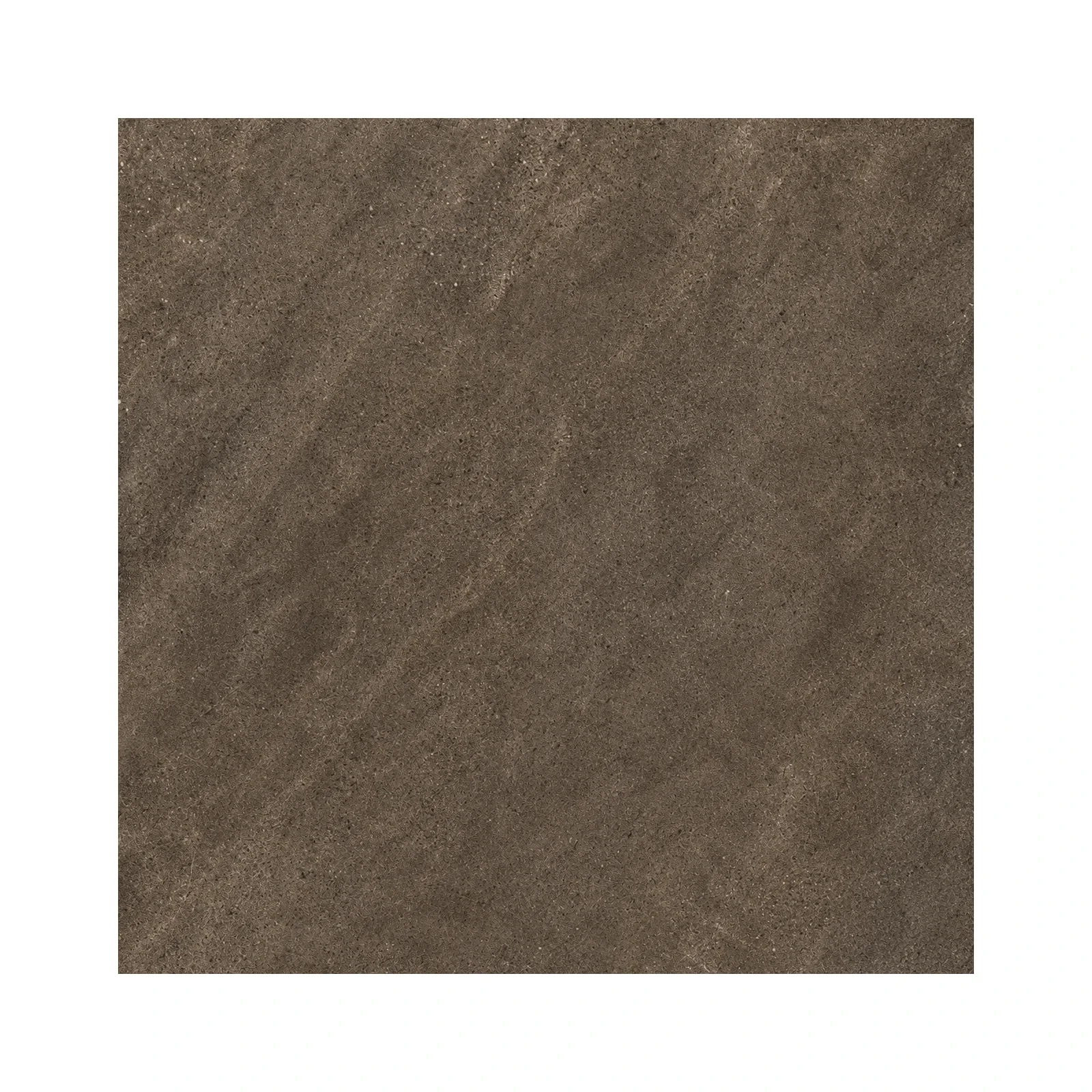 aurevia-cocoa-stone-24-x-48-matte-04-surface-detail.webp