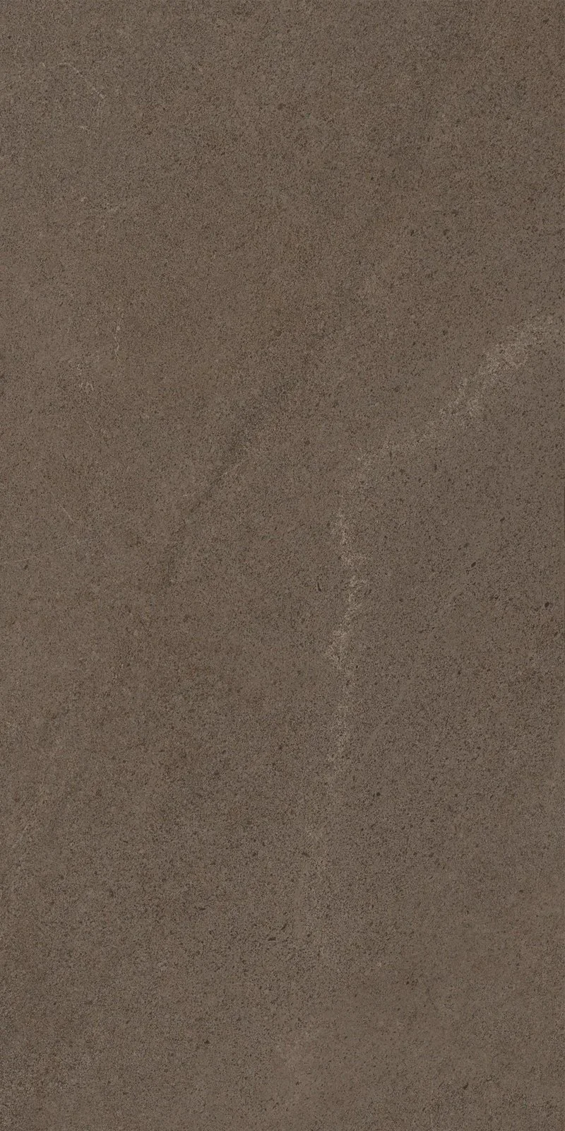 aurevia-cocoa-stone-12-x-24-matte-original-01.webp