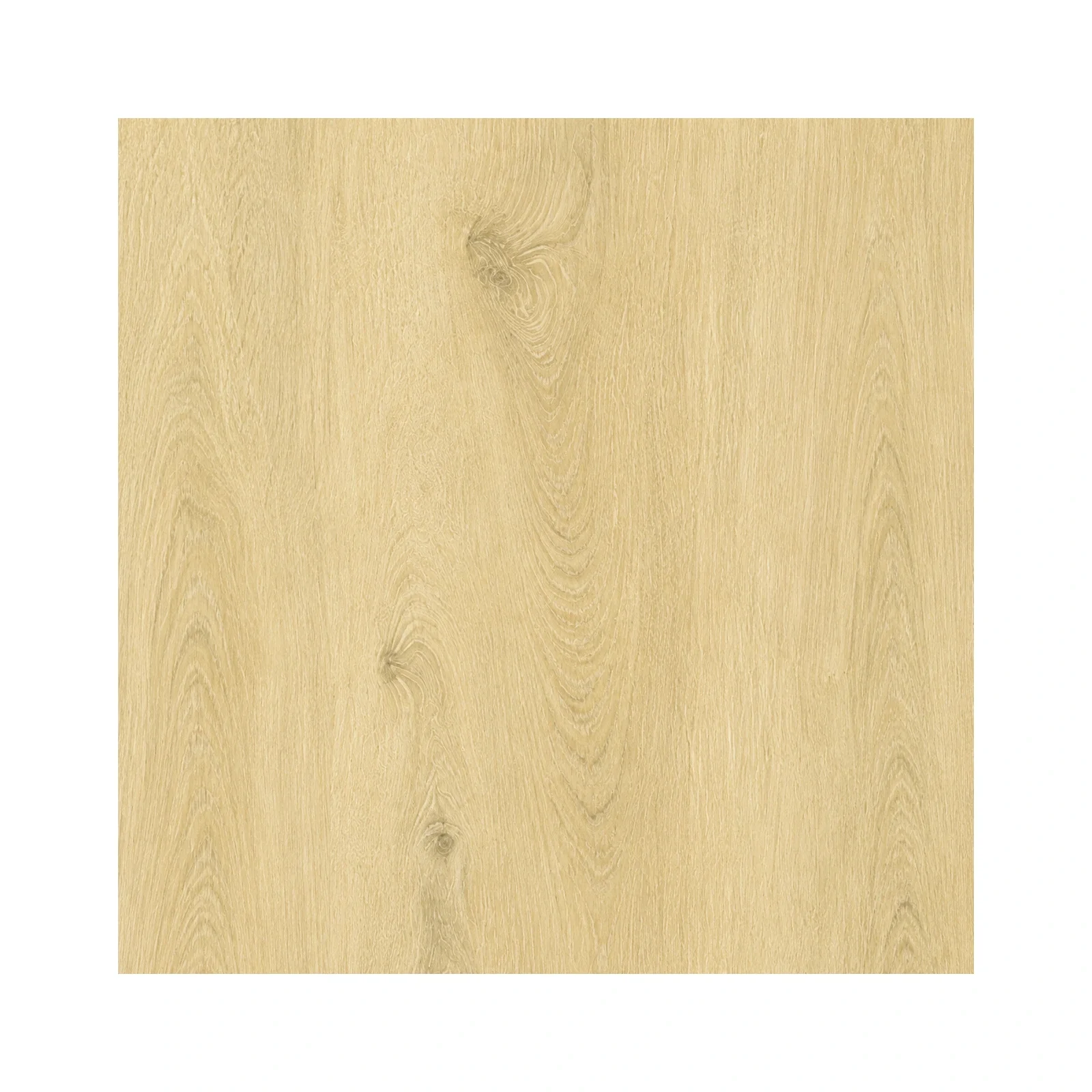 ardenvale-glenbury-oak-04-surface-detail.webp