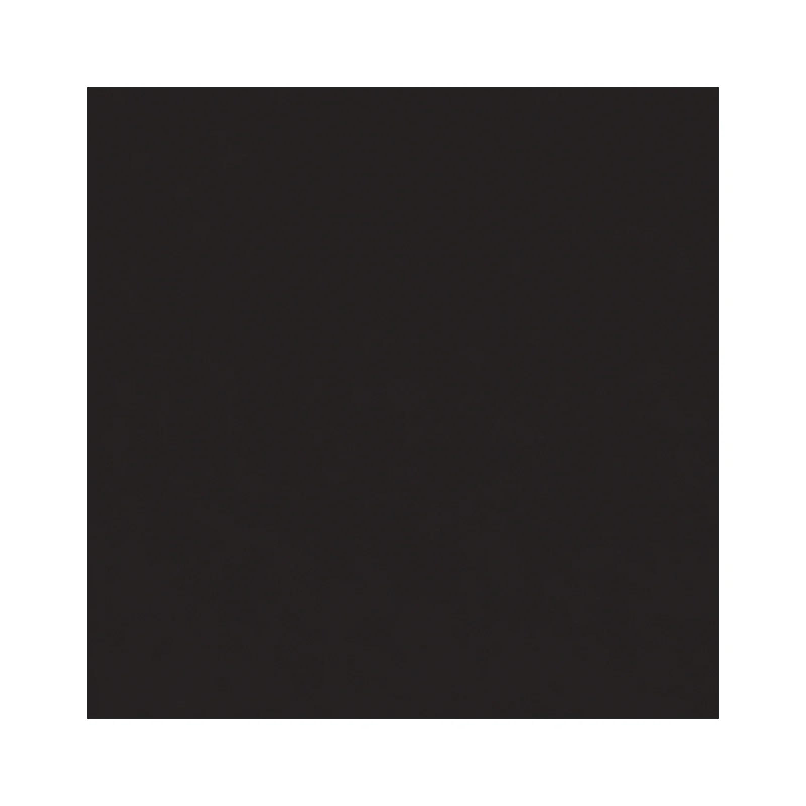 lumera-obsidian-silk-12-x-12-matte-04-surface-detail.webp