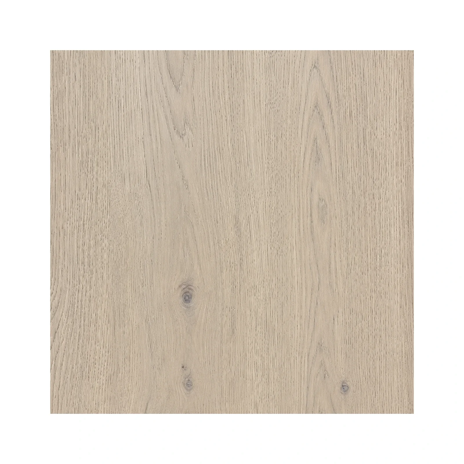 maravia-tidecrest-04-surface-detail.webp