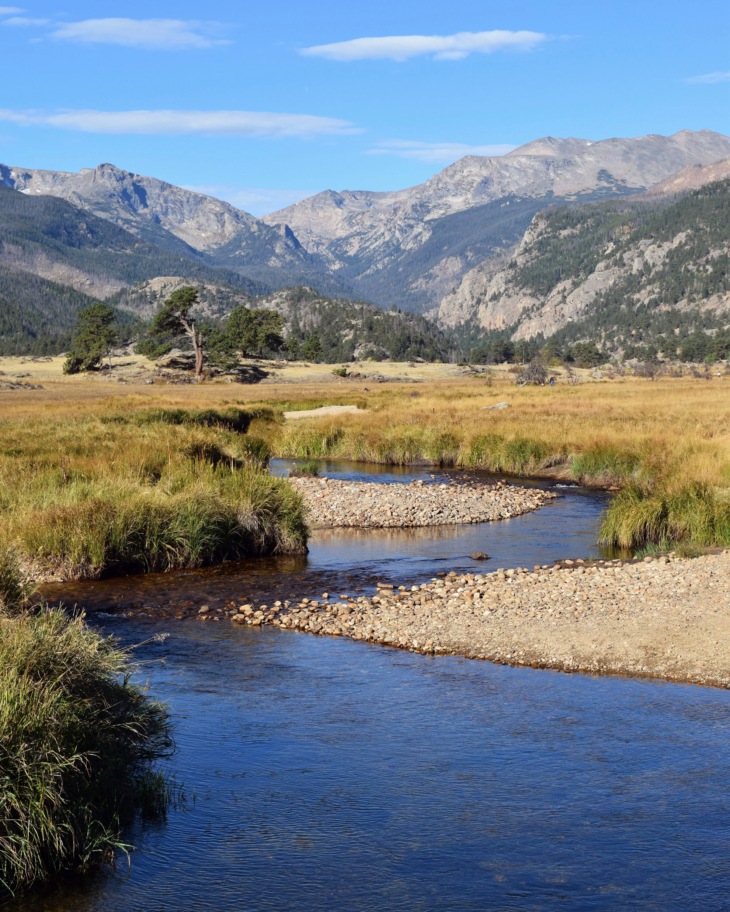 RMNP 2.jpg