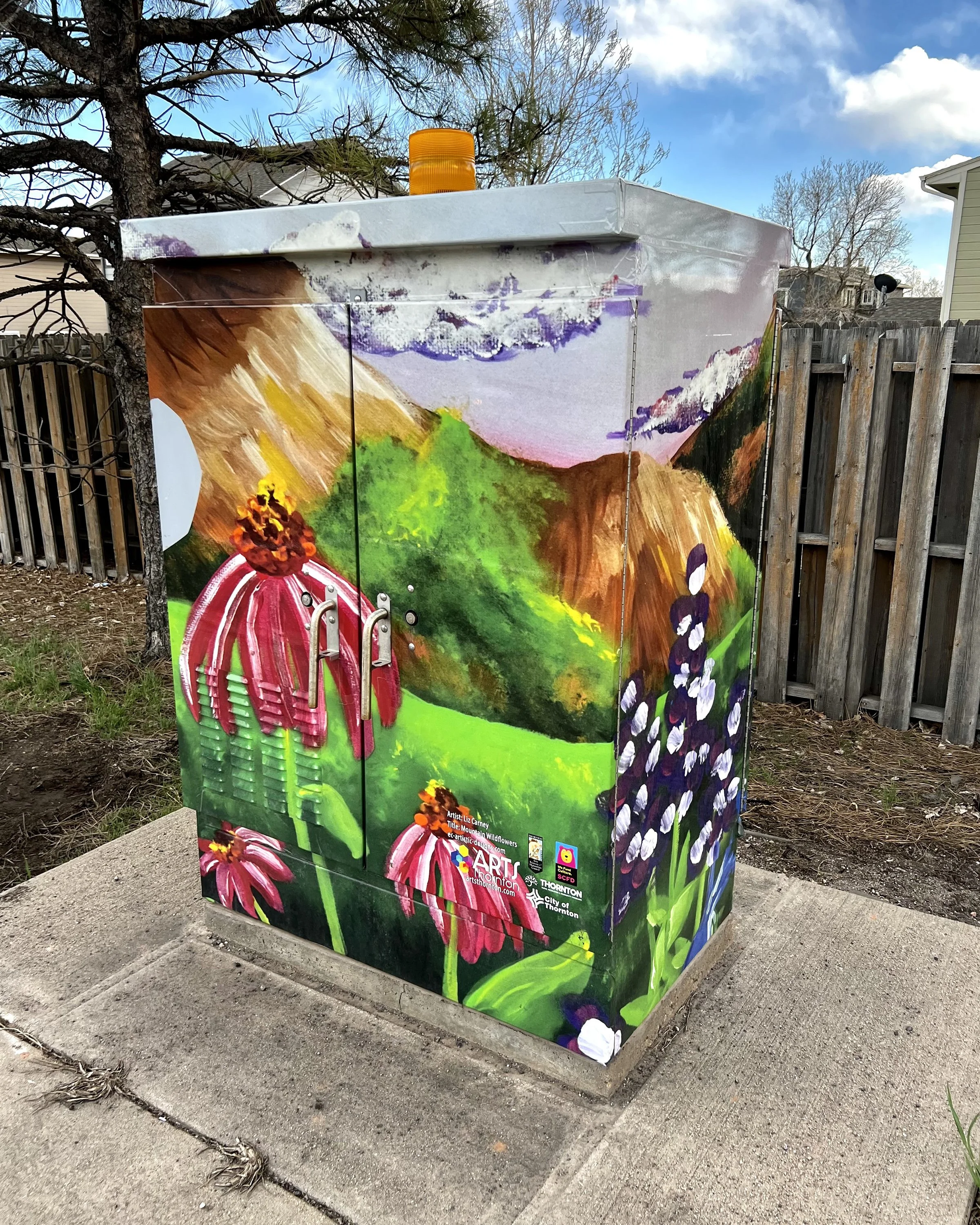 Installed Thornton CO Traffic Box