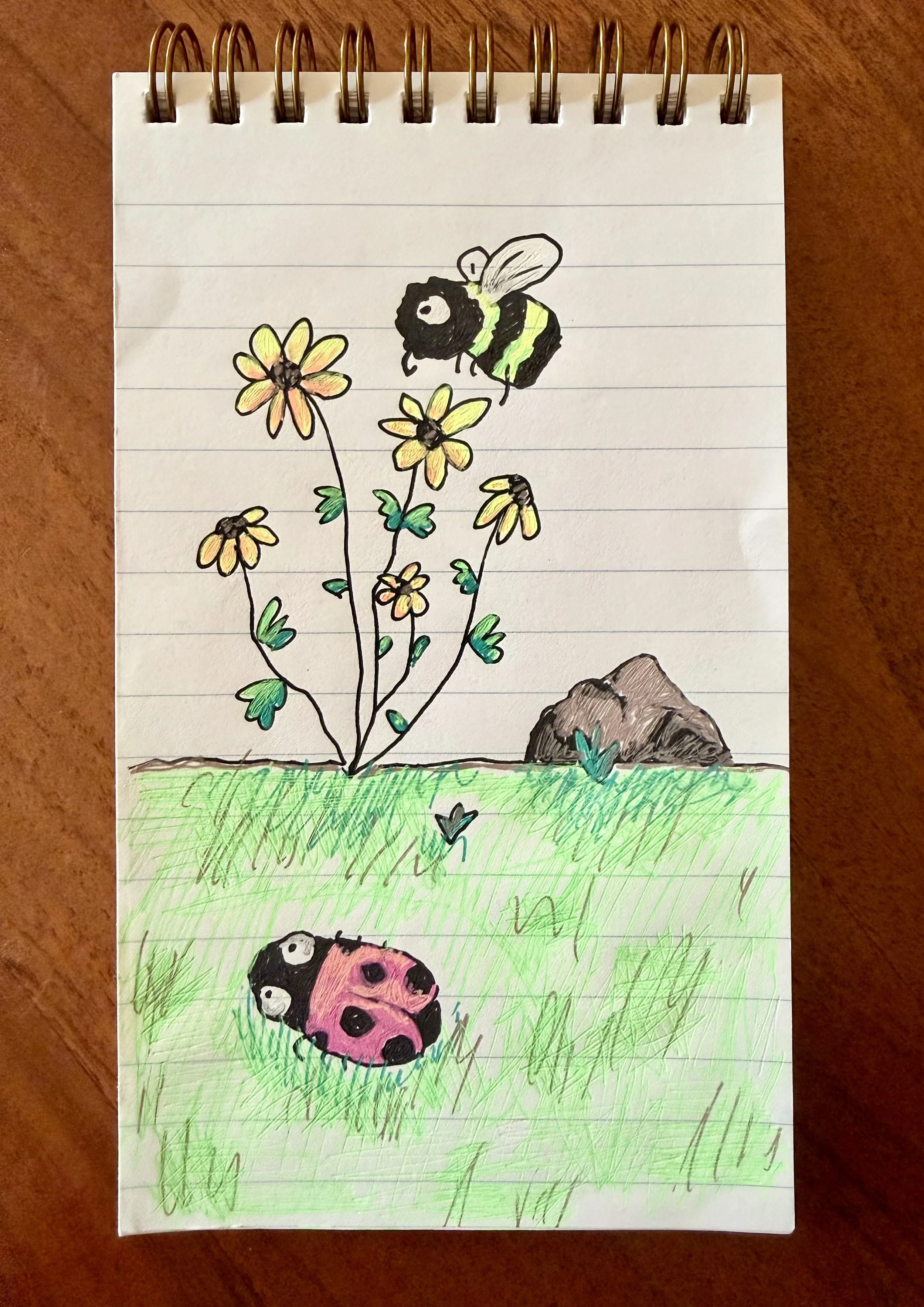 Bugs Doodle.jpg