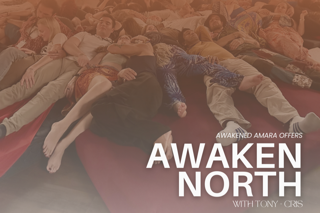 AWAKEN | NORTH