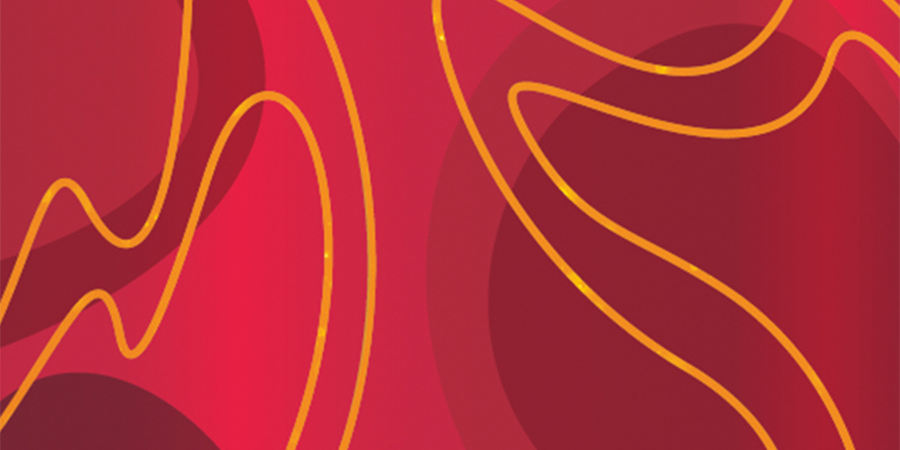 Branding & Packaging – BeeWild Honey