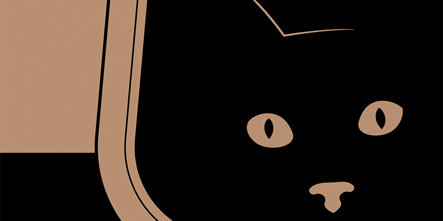 Shipper Box – Arm & Hammer