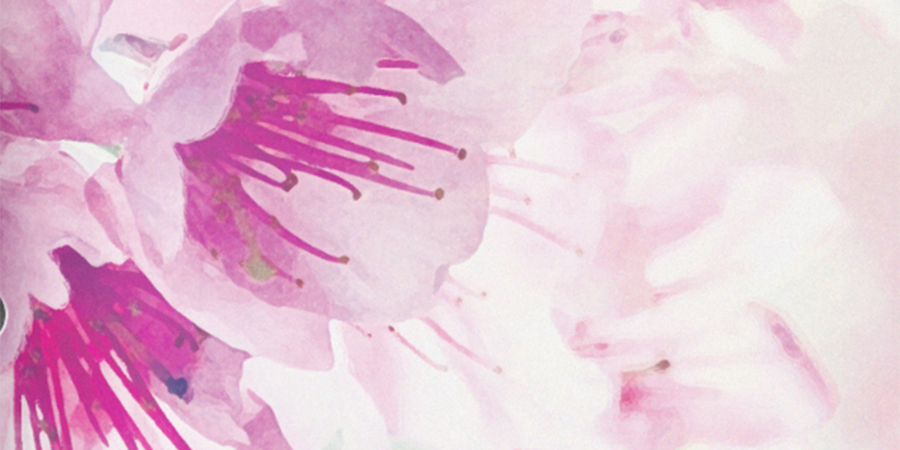 Product Guide Concept – Scott's Miracle-Gro