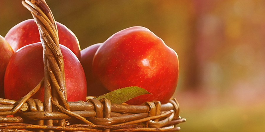 Banner Ads – Welch's