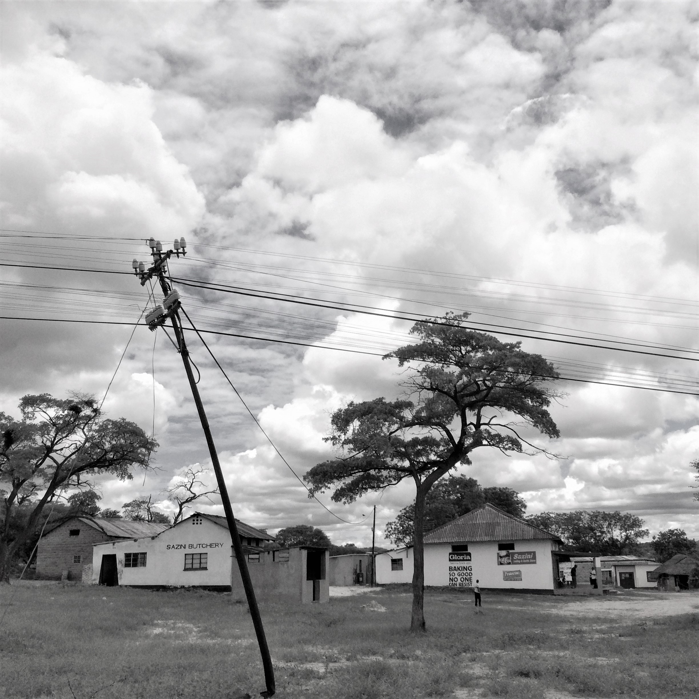 Gallery — Alison Blackmore