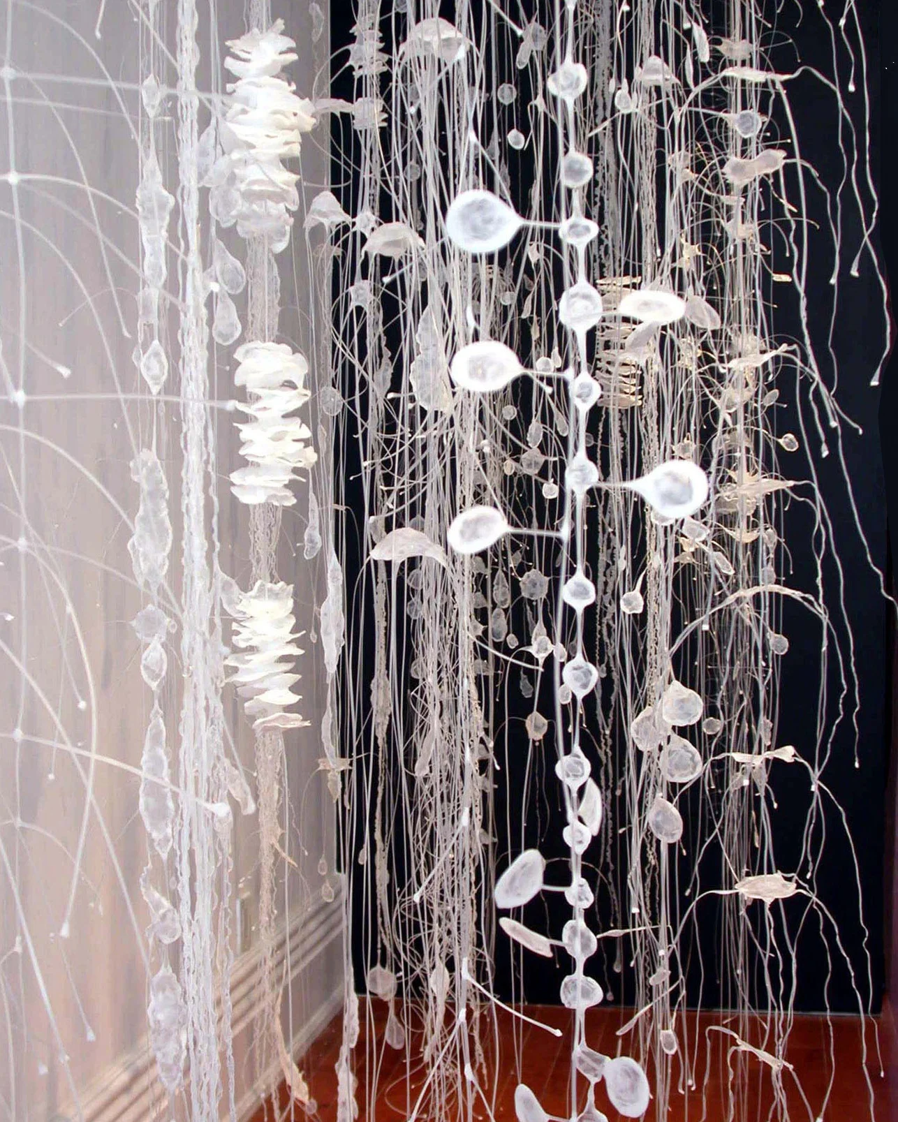 Hanging Garden installation .jpg