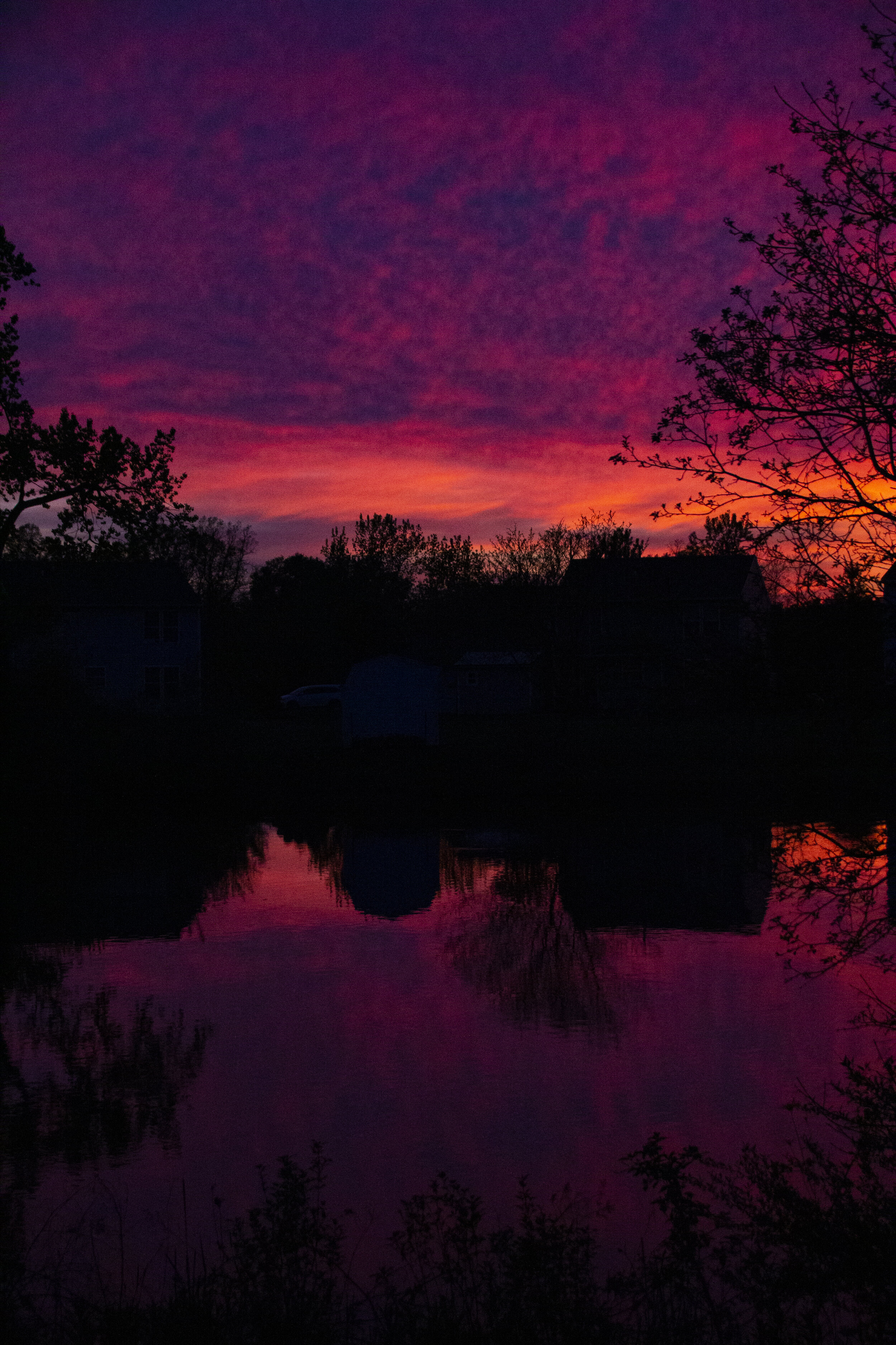 Sunset_pink.jpg