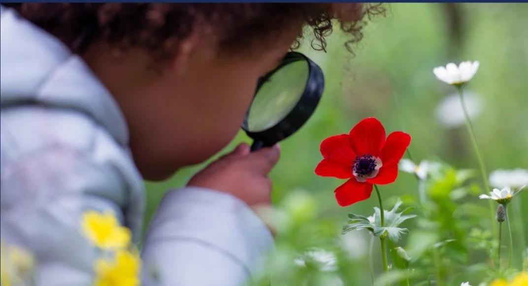 Tiny Adventurers: Creating Outdoor Environments For Infants and Toddlers (Registration for All 6 Sessions)