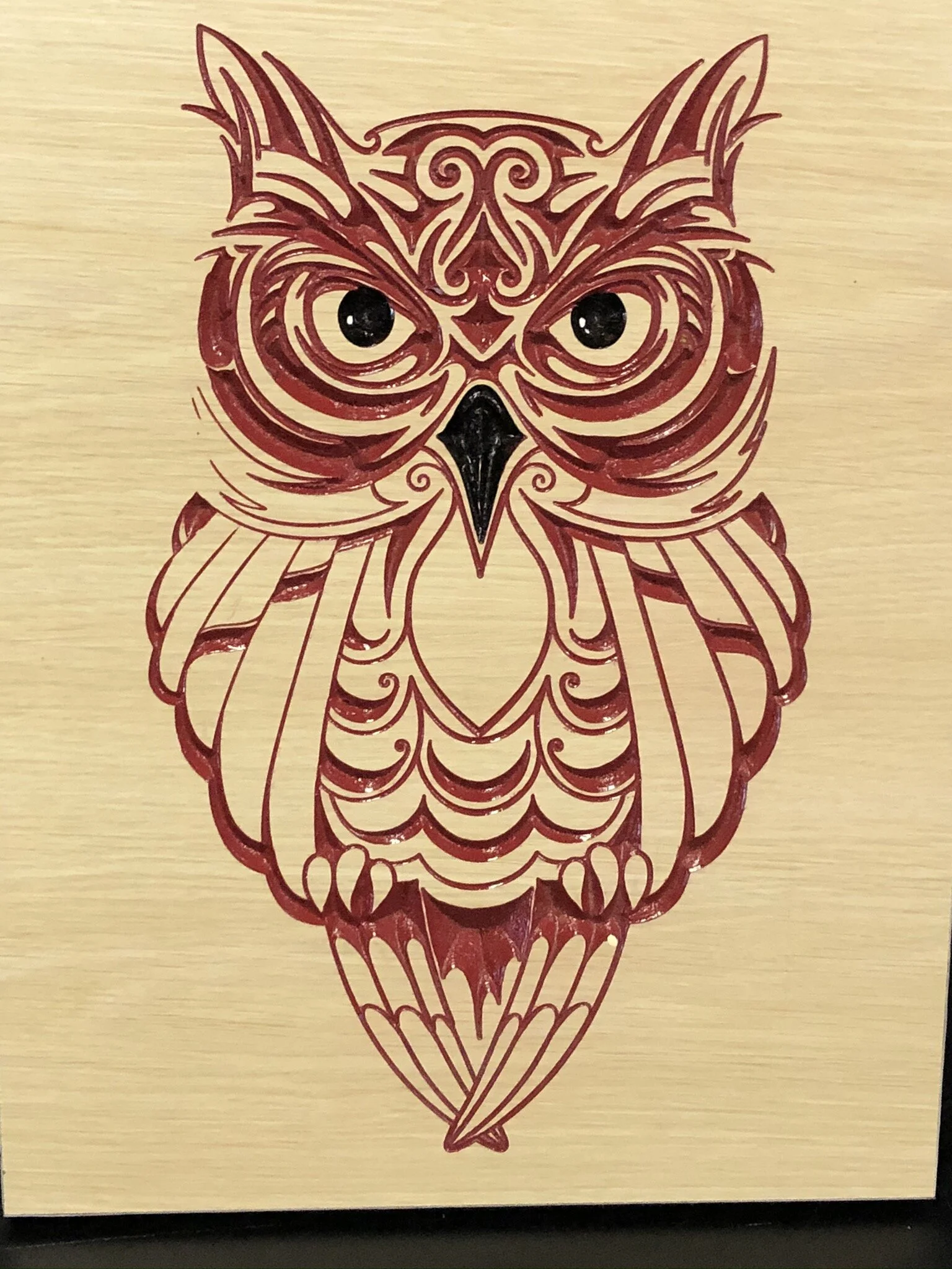 C14B9210-6E14-4701-9715-3E1B248BE938 - Tony Williams.jpeg