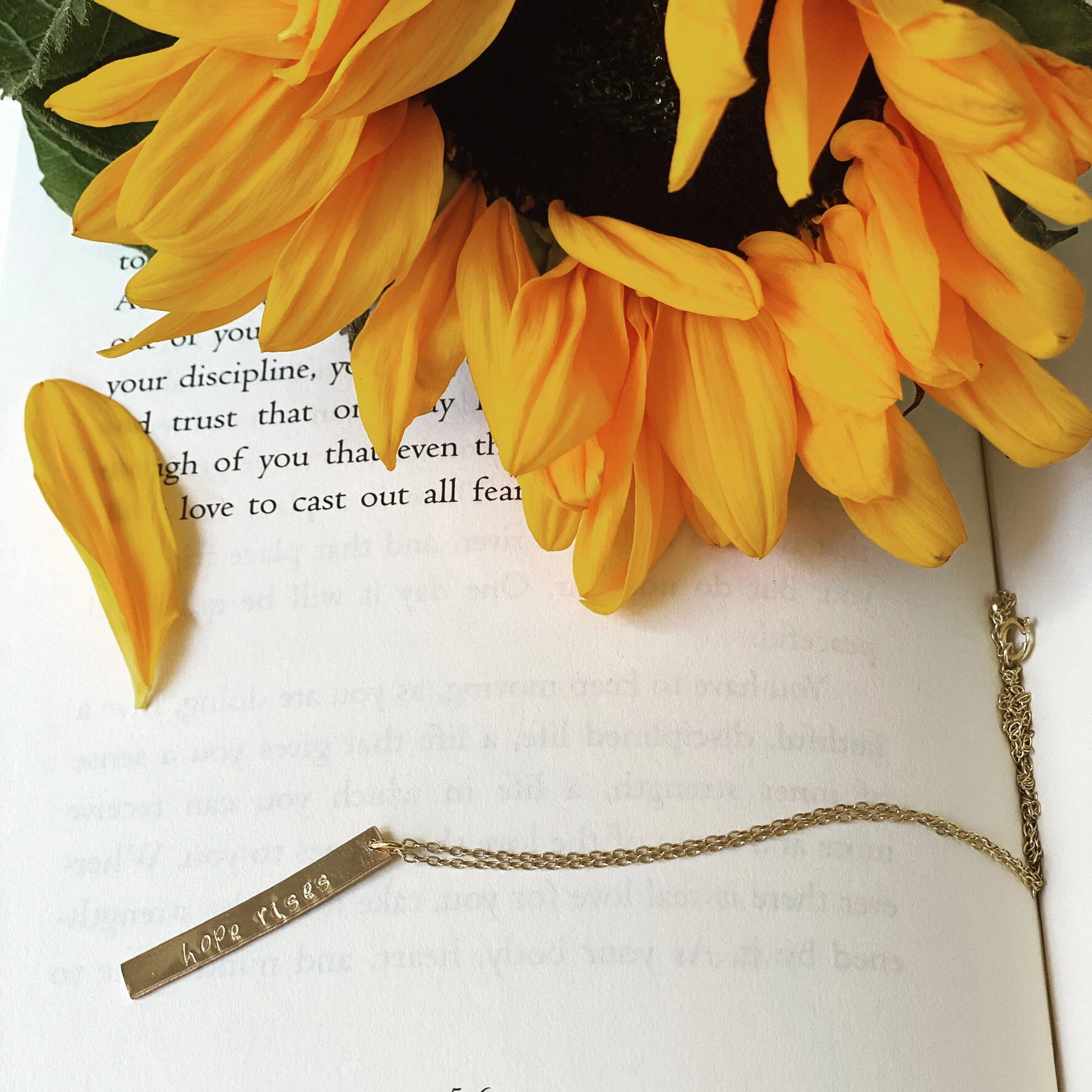 Haven Promise Design(4).jpeg