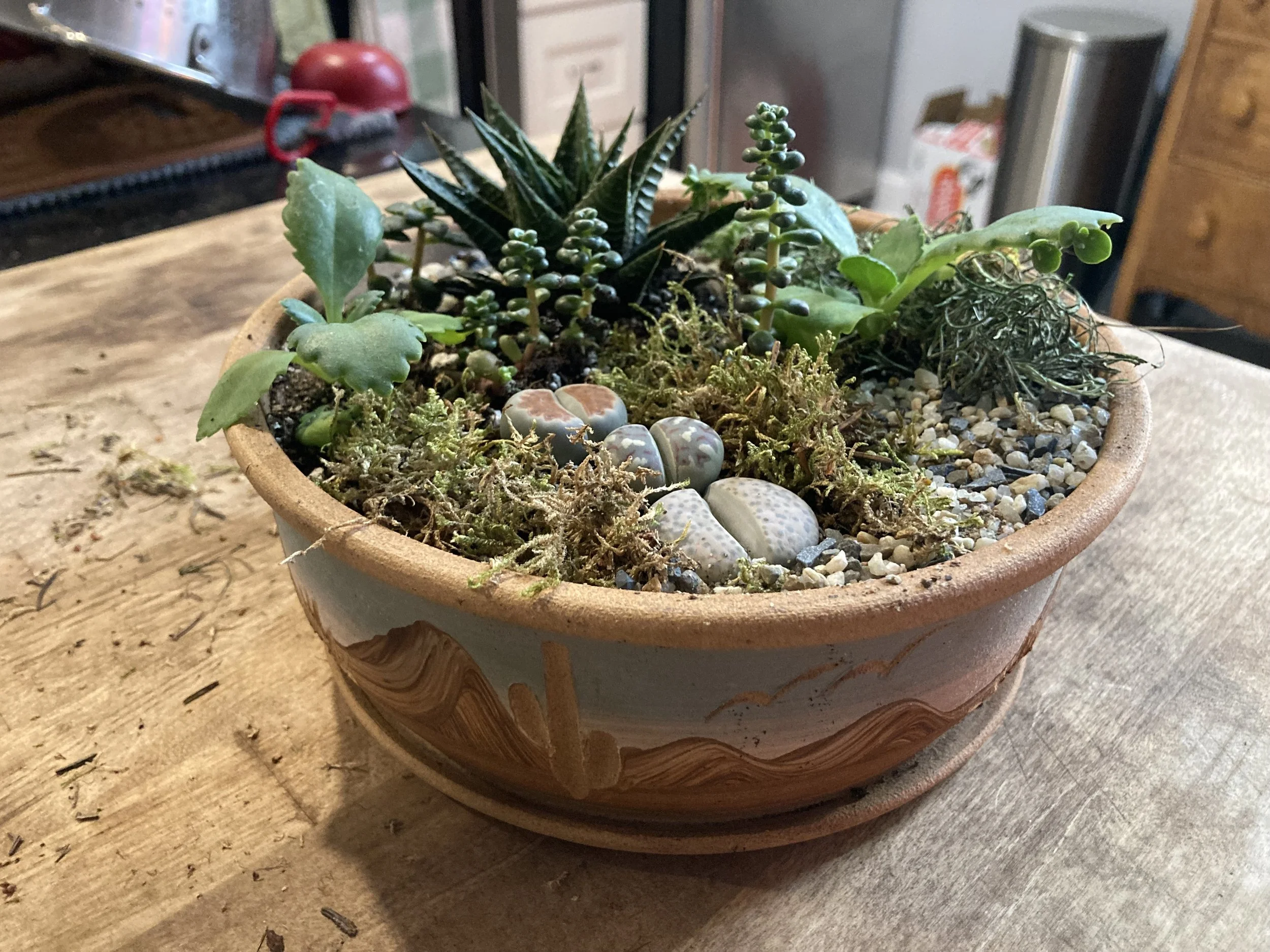 Bella's Garden and Botanical Works