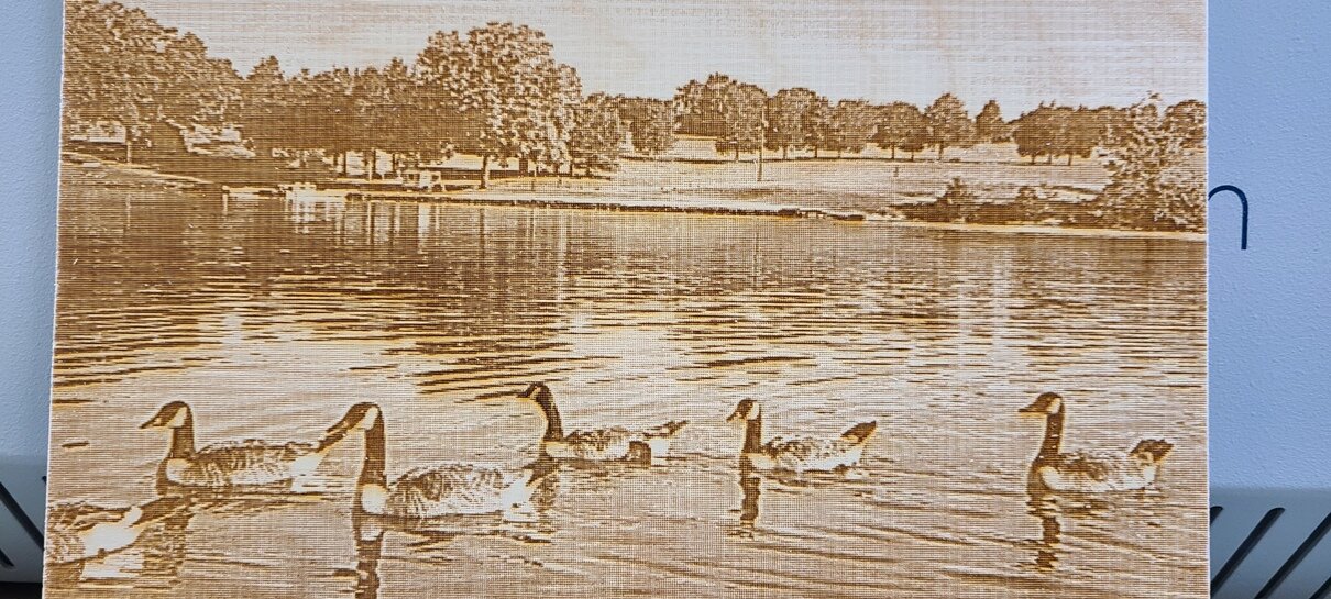  Ken Salley-geese printed on Baltic Birch. 