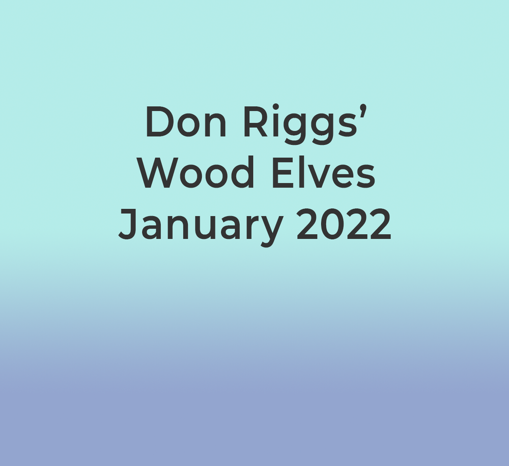 DON RIGGS TITLE.png