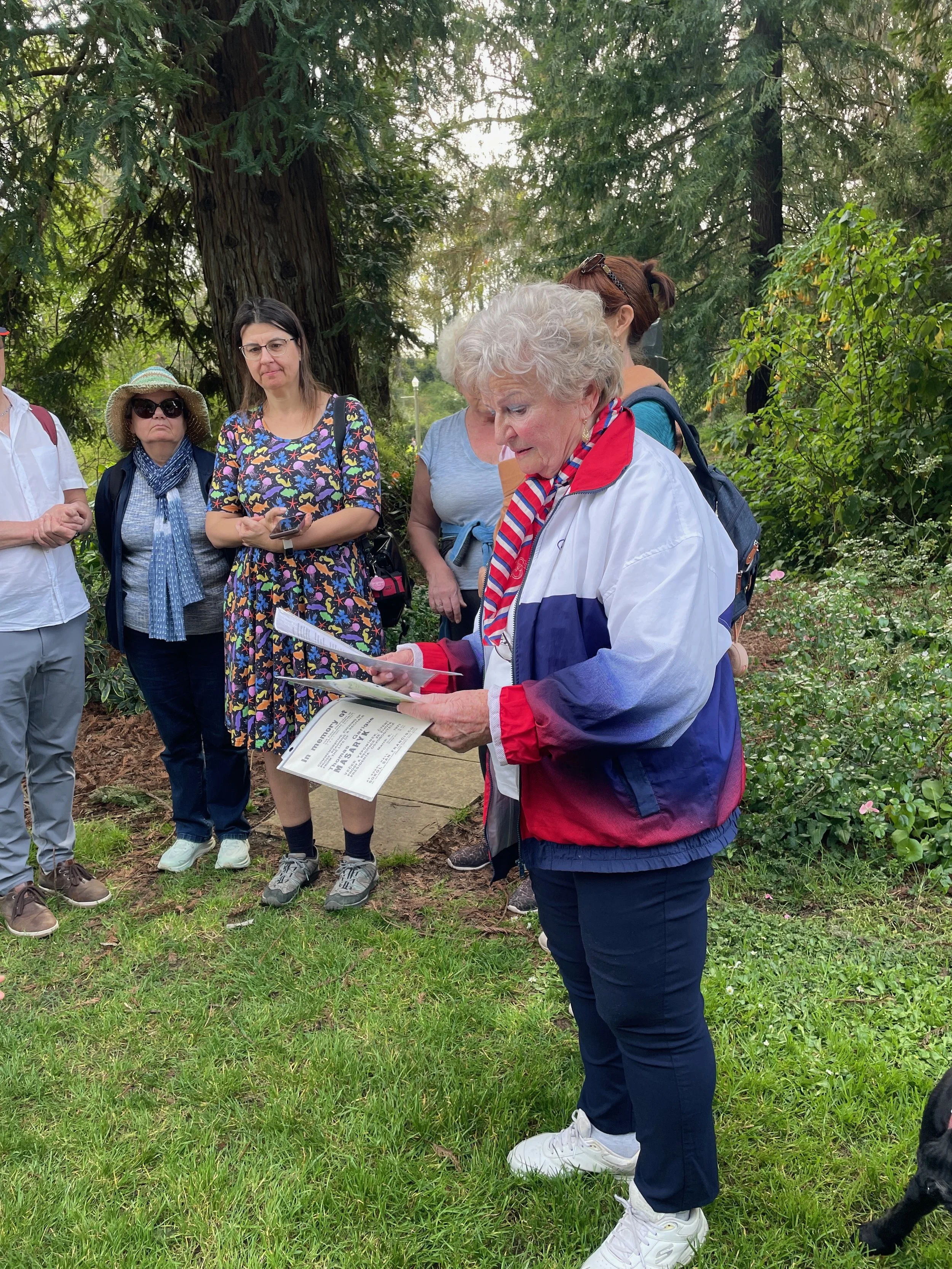 IMG_3582.jpeg