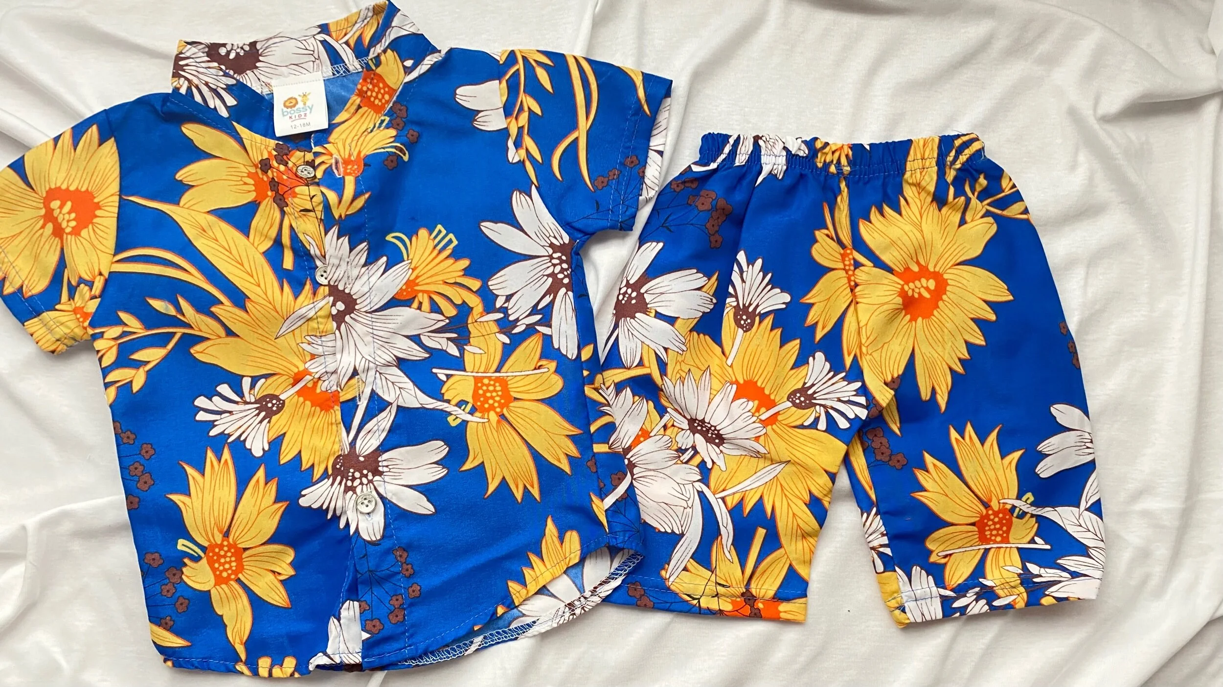 4758F8D0-18B6-4D81-B50C-4DEF80EF889F