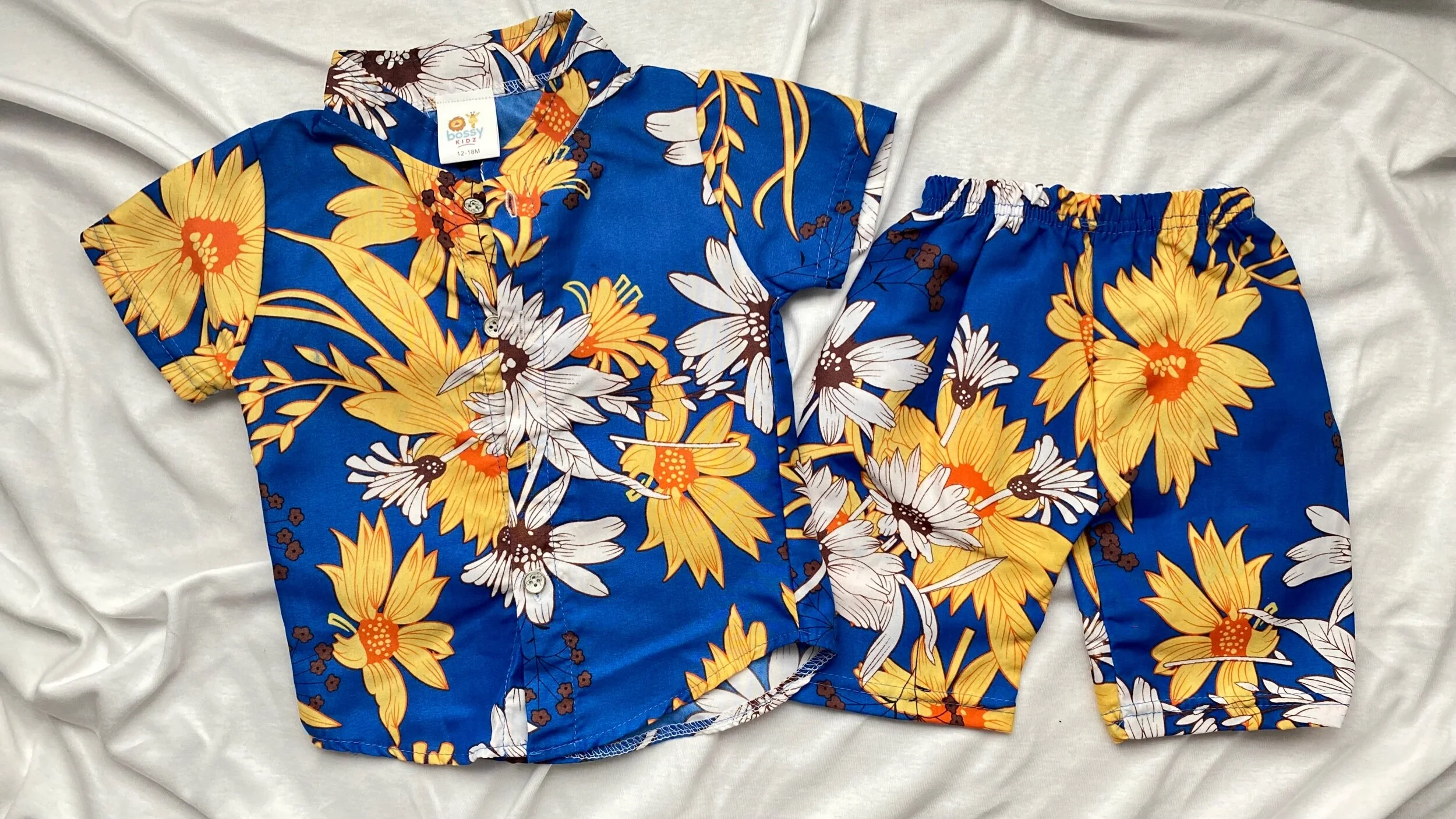 FB787F91-DA94-4E12-AC1C-24D452640B5D